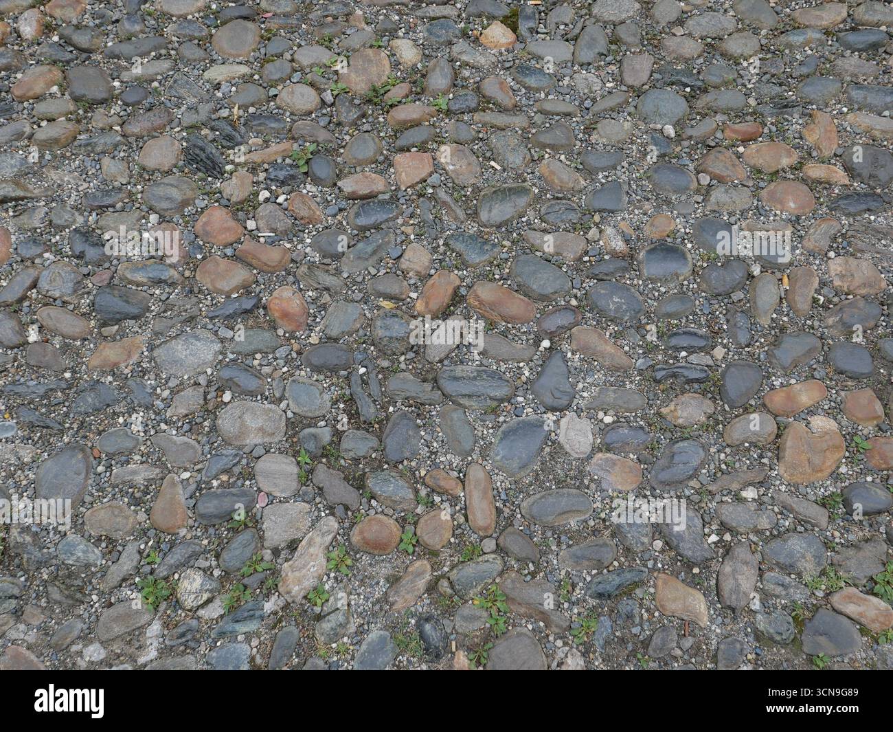 grey cobbles texture useful as a background Stock Photo