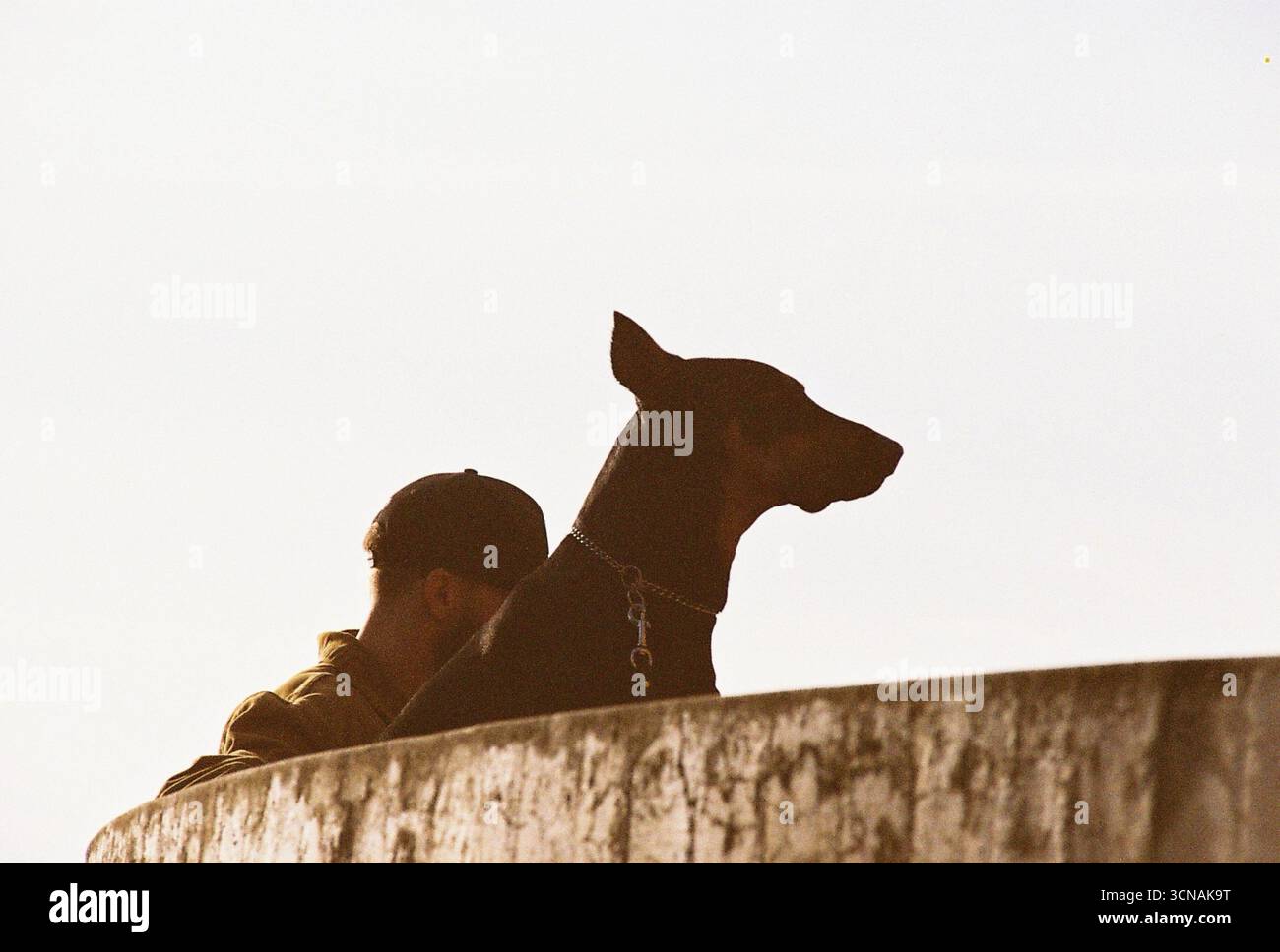 A Quiet Moment Between Man and Dog at Sunset Stock Photo