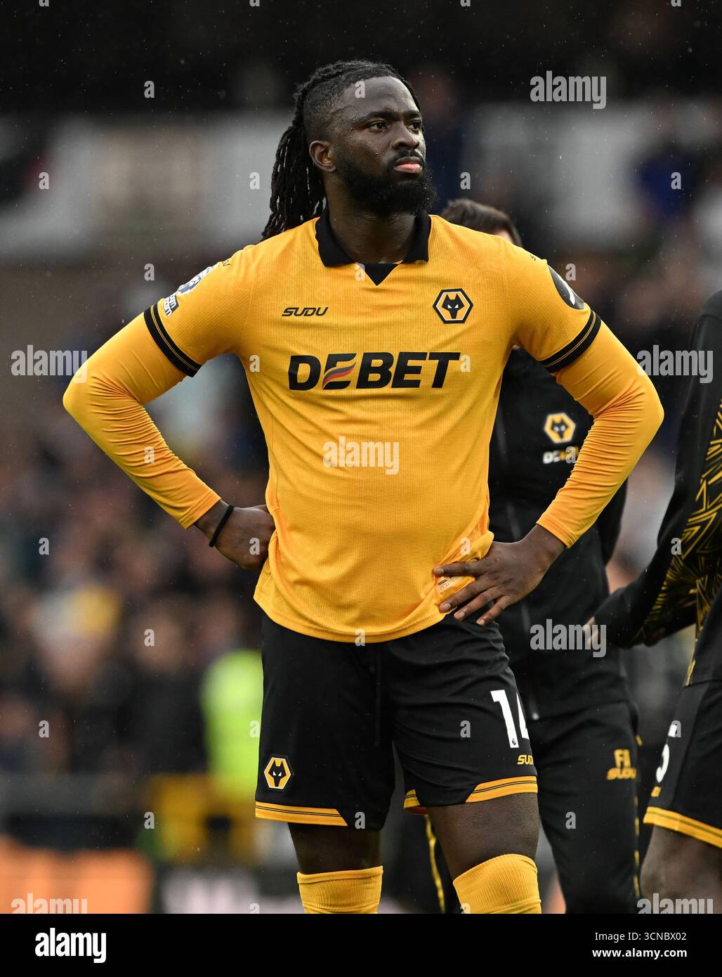The High-Stakes Gamble of Premier League Transfers