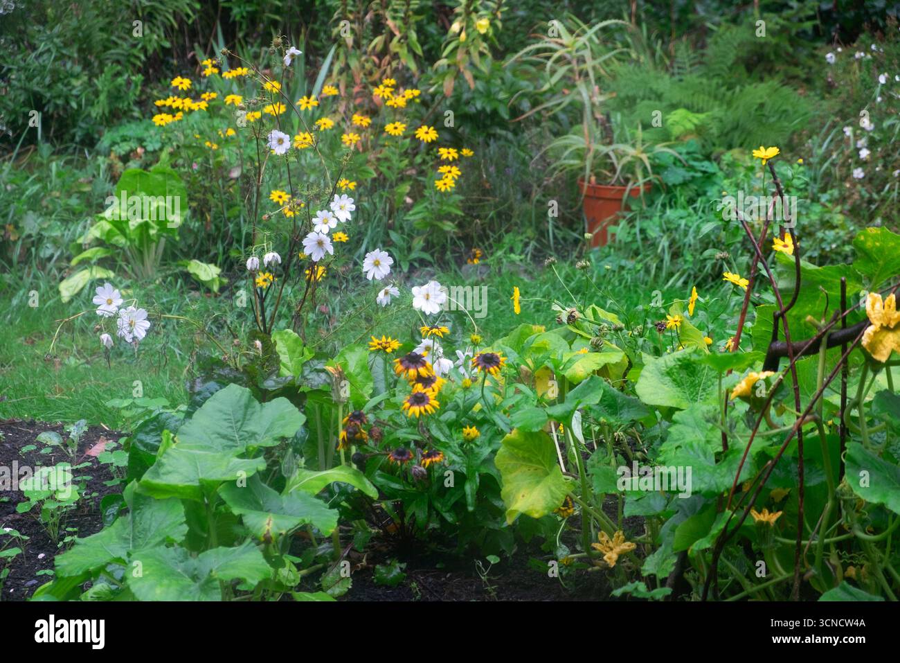 Late autumn 2025 uk hi res stock photography and images Alamy