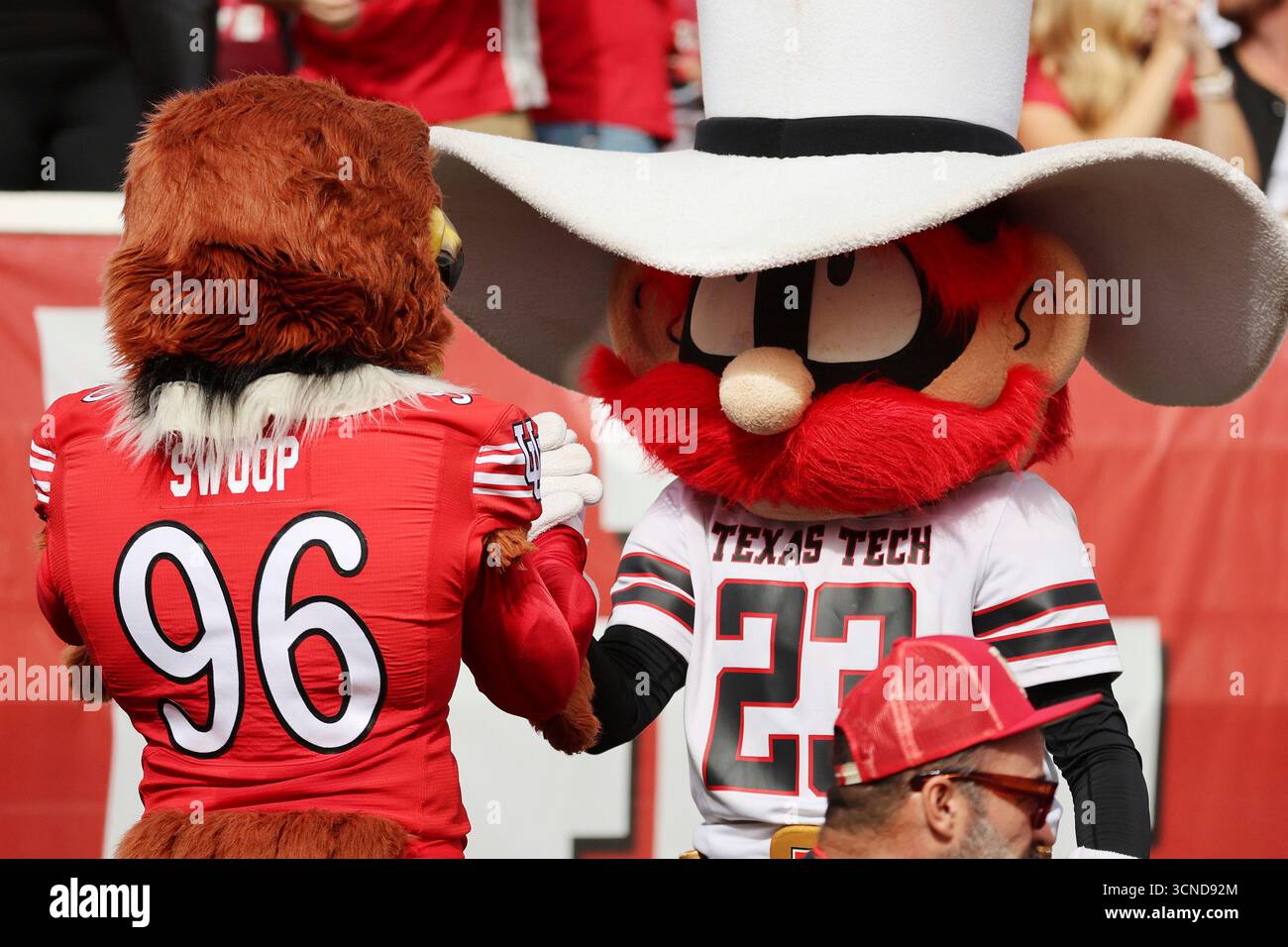 Utah mascot Swoop and Texas Tech mascot Raider Red meet during the ...