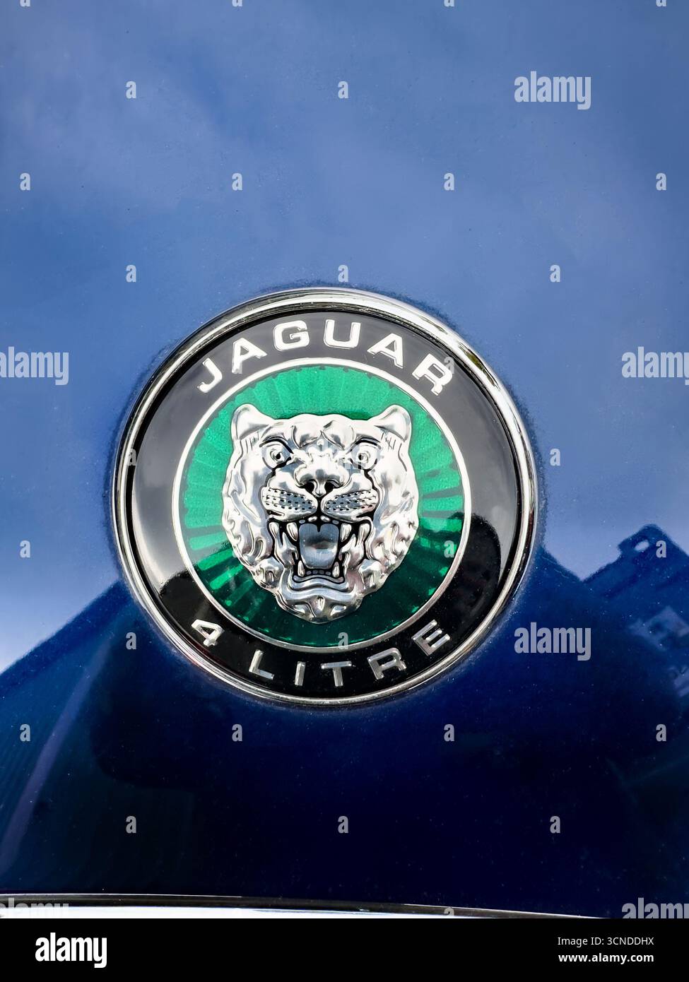 Close-up of a classic Jaguar car hood emblem featuring a detailed jaguar face and text displaying 4 litre on a sleek blue painted metal surface - Smartphone Captured Stock Image