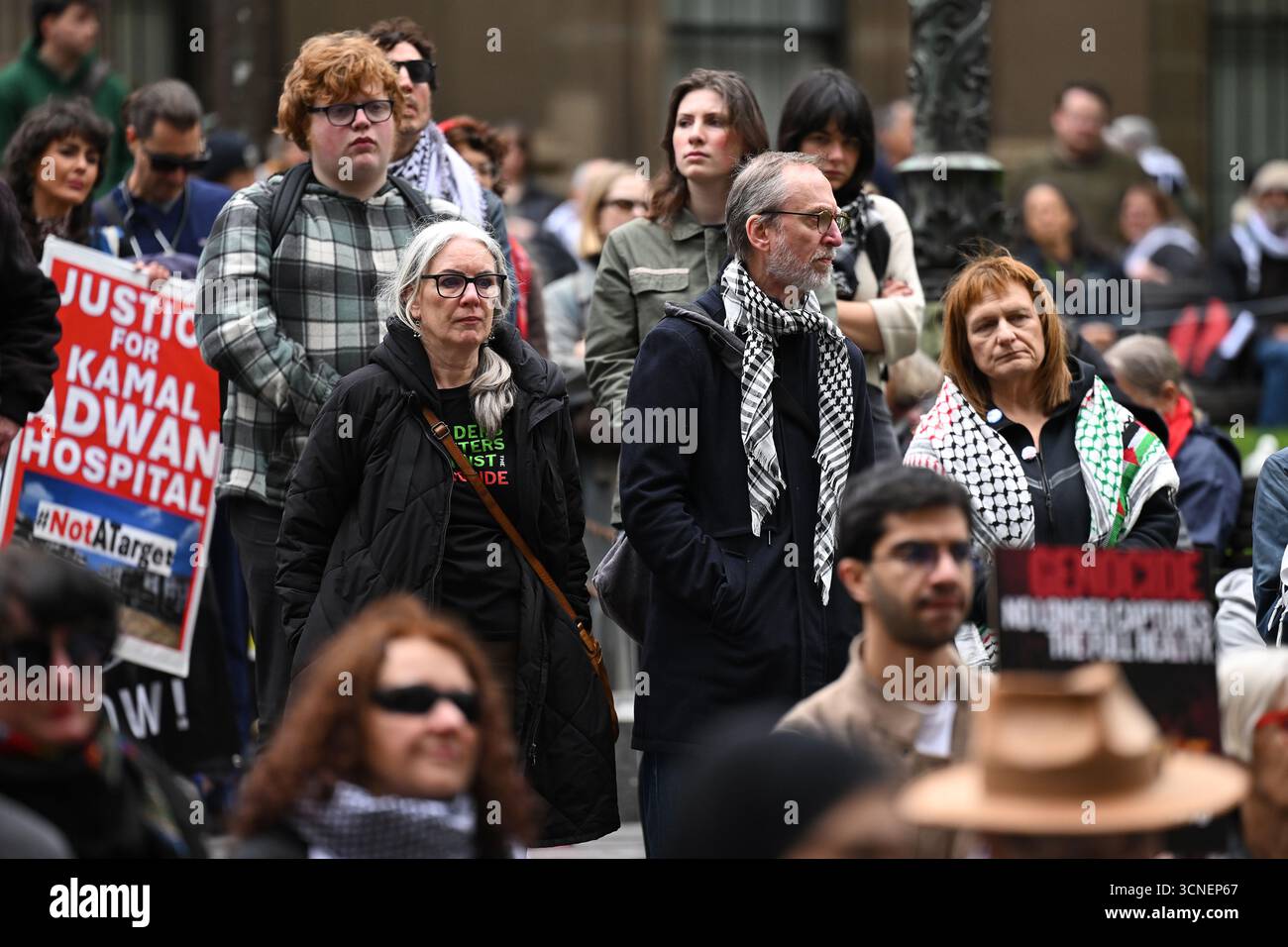 Protesters gather during a Pro-Palestine rally at the State Library of ...