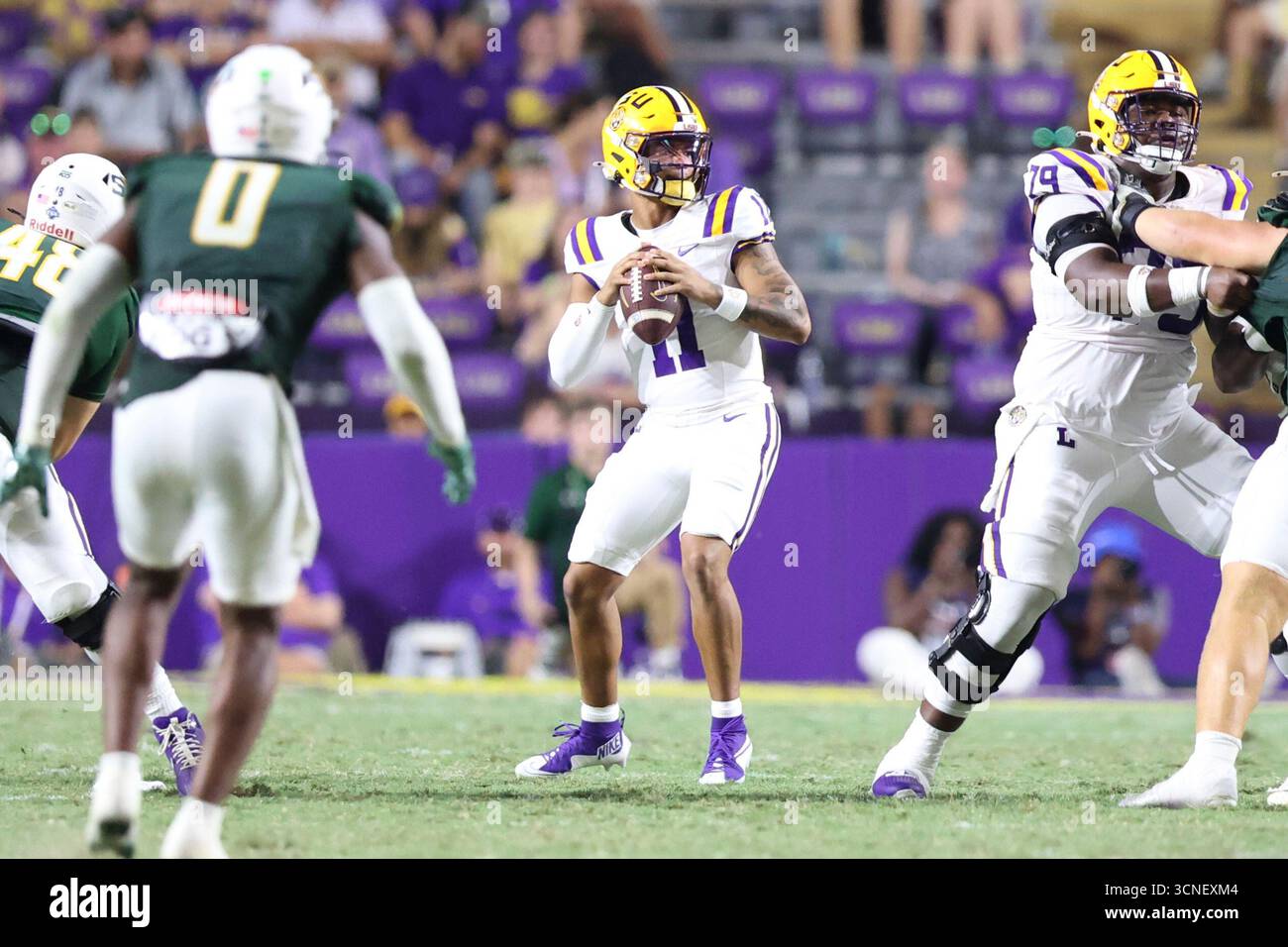 LSU quarterback Michael Van Buren Jr. (11) looks downfield for an open ...