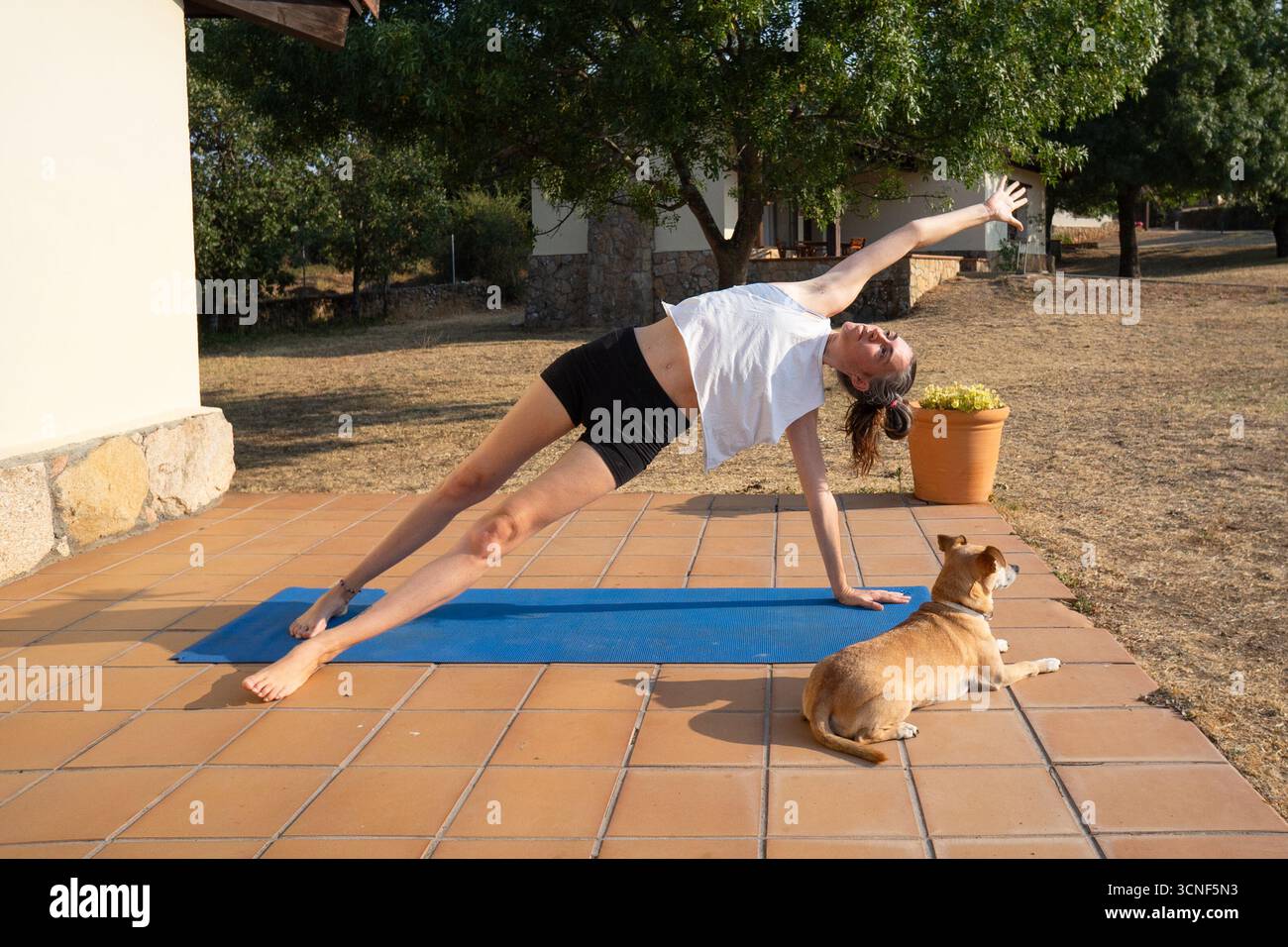 Woman practicing vasisthasana yoga pose on mat with her dog watching in the garden of a house Stock Photo