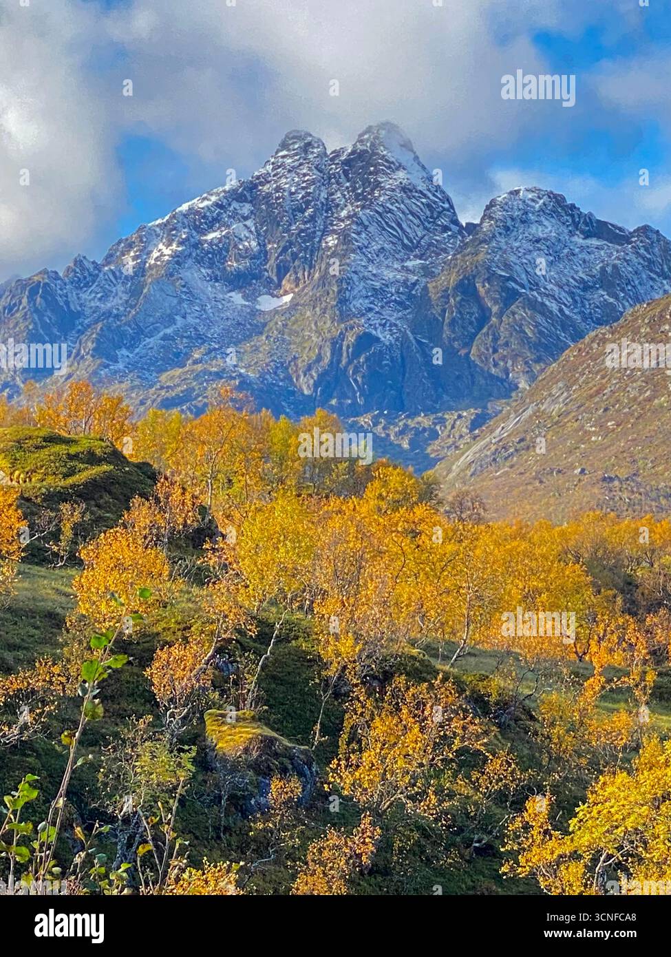 An autumn scene of the snow-capped mountain range near the main highway, E10, in Myrland on the Lofoten islands in northern Norway, Scandinavia.  The - Smartphone Captured Stock Image