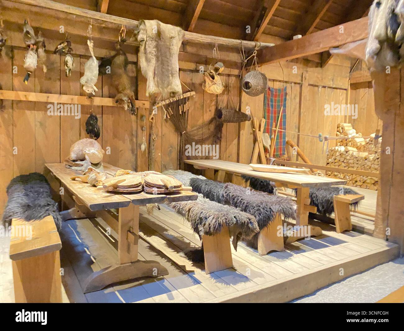 A Viking dining area inside the Viking ChieftainÕs longhouse, the largest Viking house ever discovered!  It is 83 metres long and 9.5 metres wide in t - Smartphone Captured Stock Image