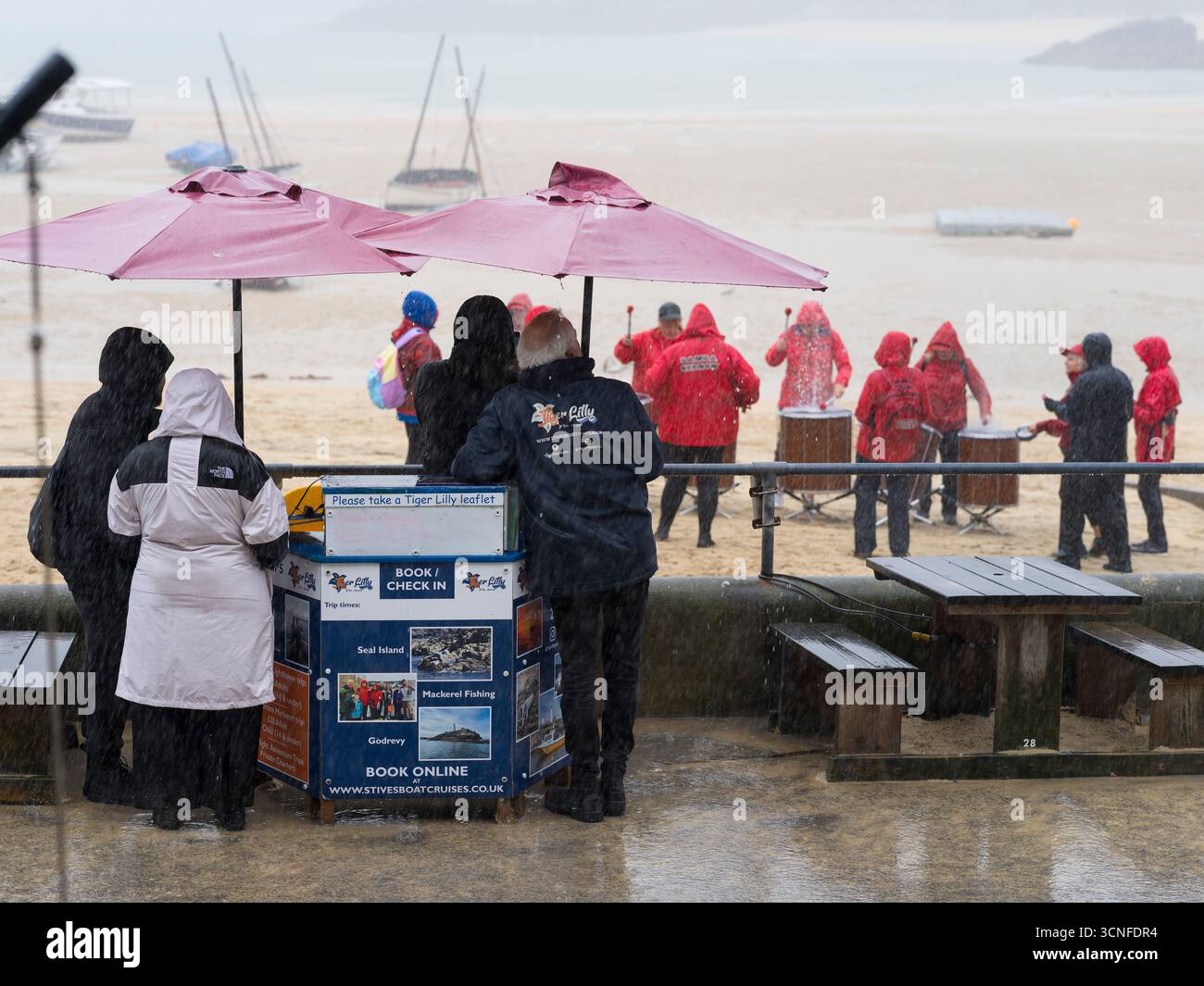 samba trainers womens