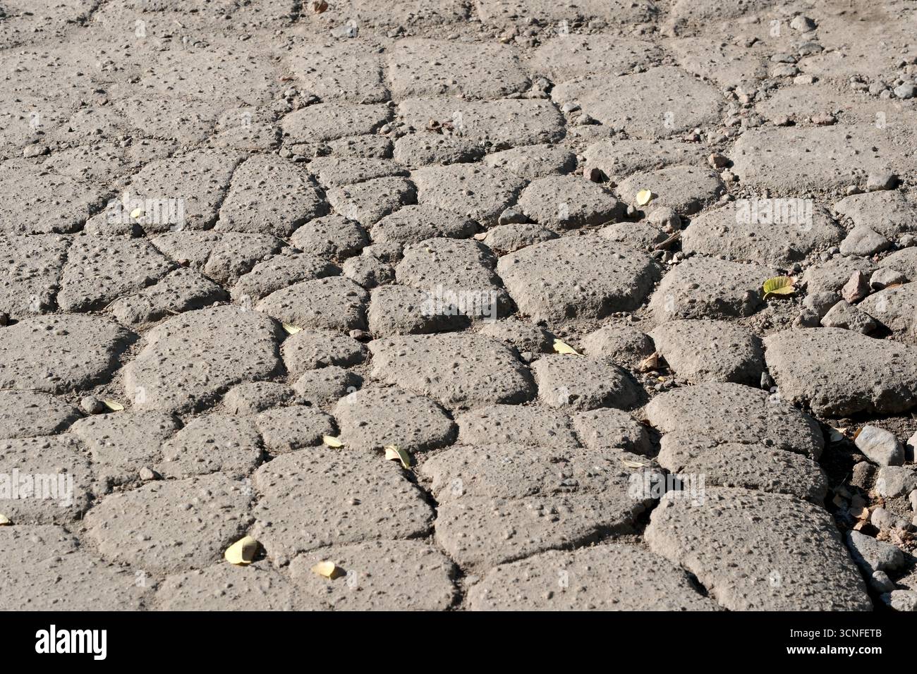 Scattered Patchwork Dry ground displays a patchwork of cracks and small leaves scattered ...