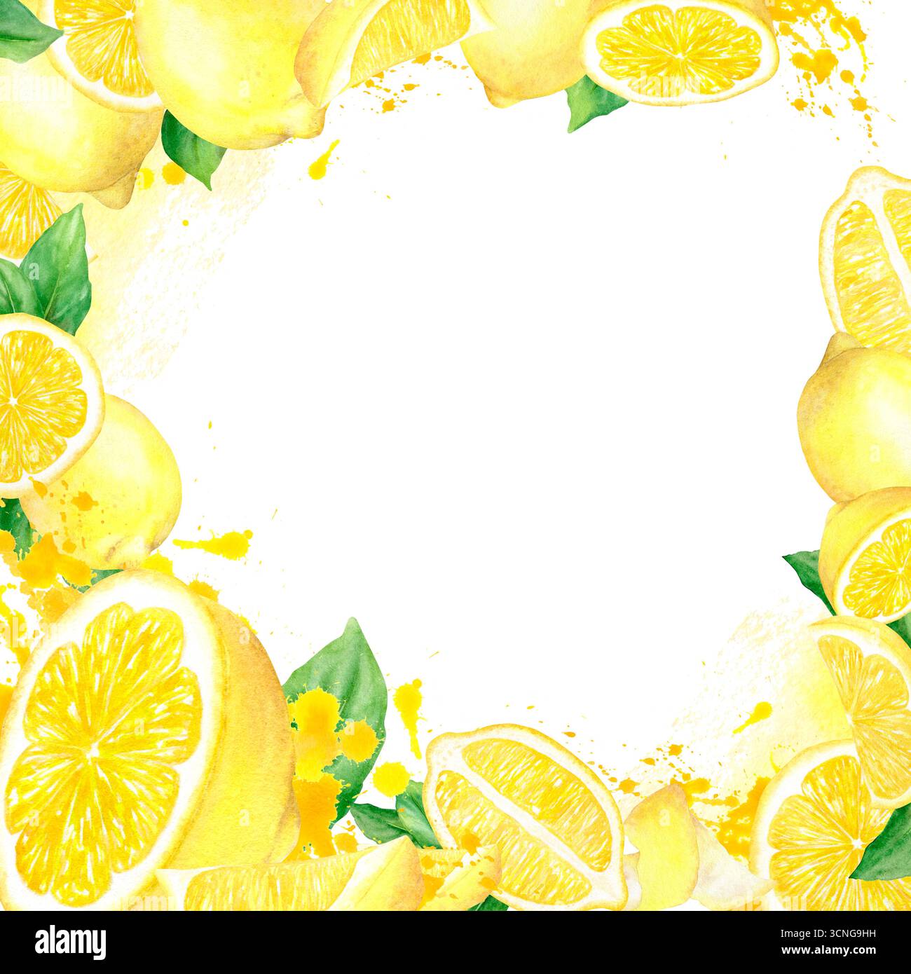 Watercolor square frame with hand drawn juicy illustrations of citrus ...
