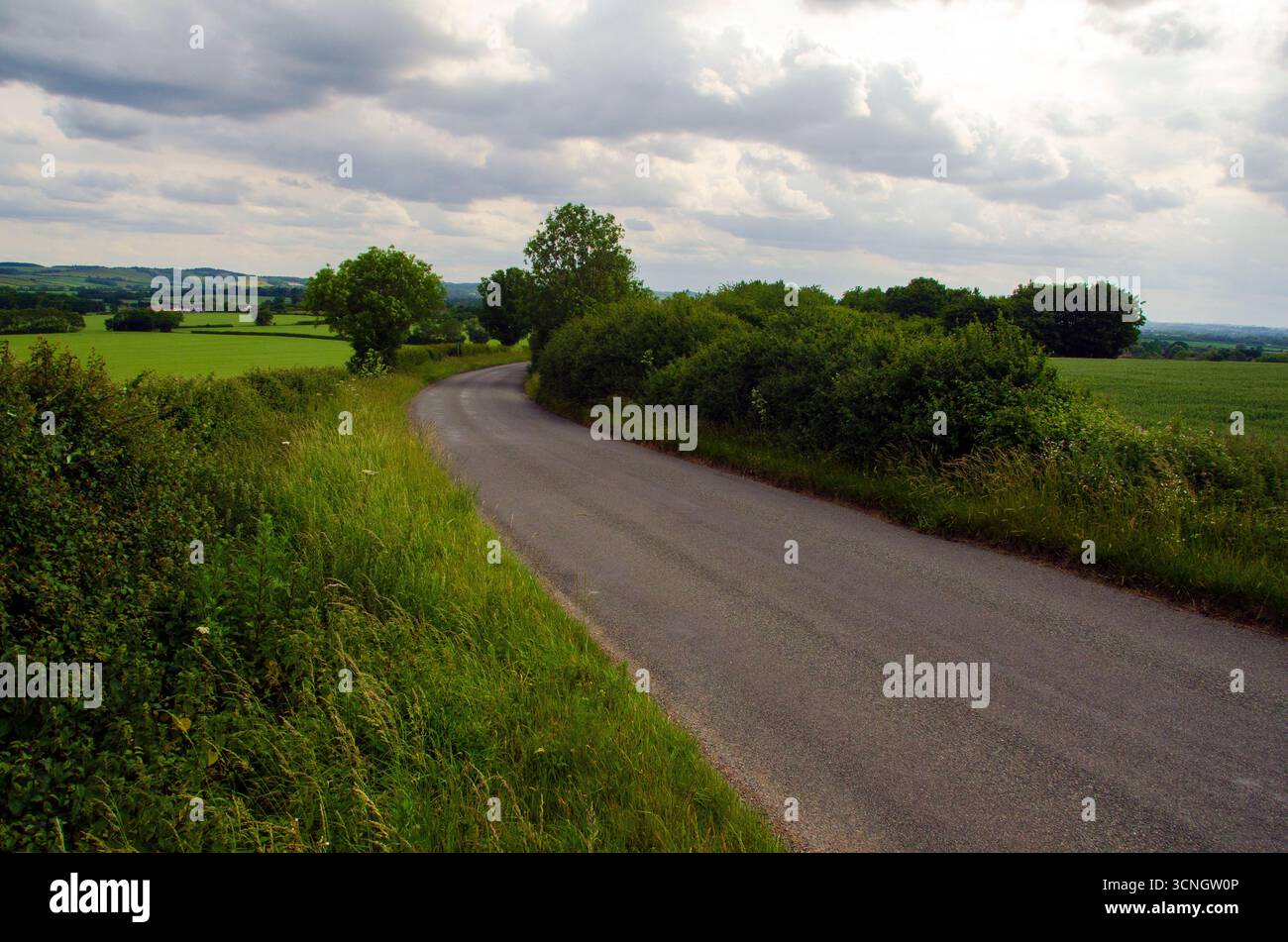 Bucolic summer landscape of a country lane through farmland in eastern Bedfordshire, England, UK Stock Photo