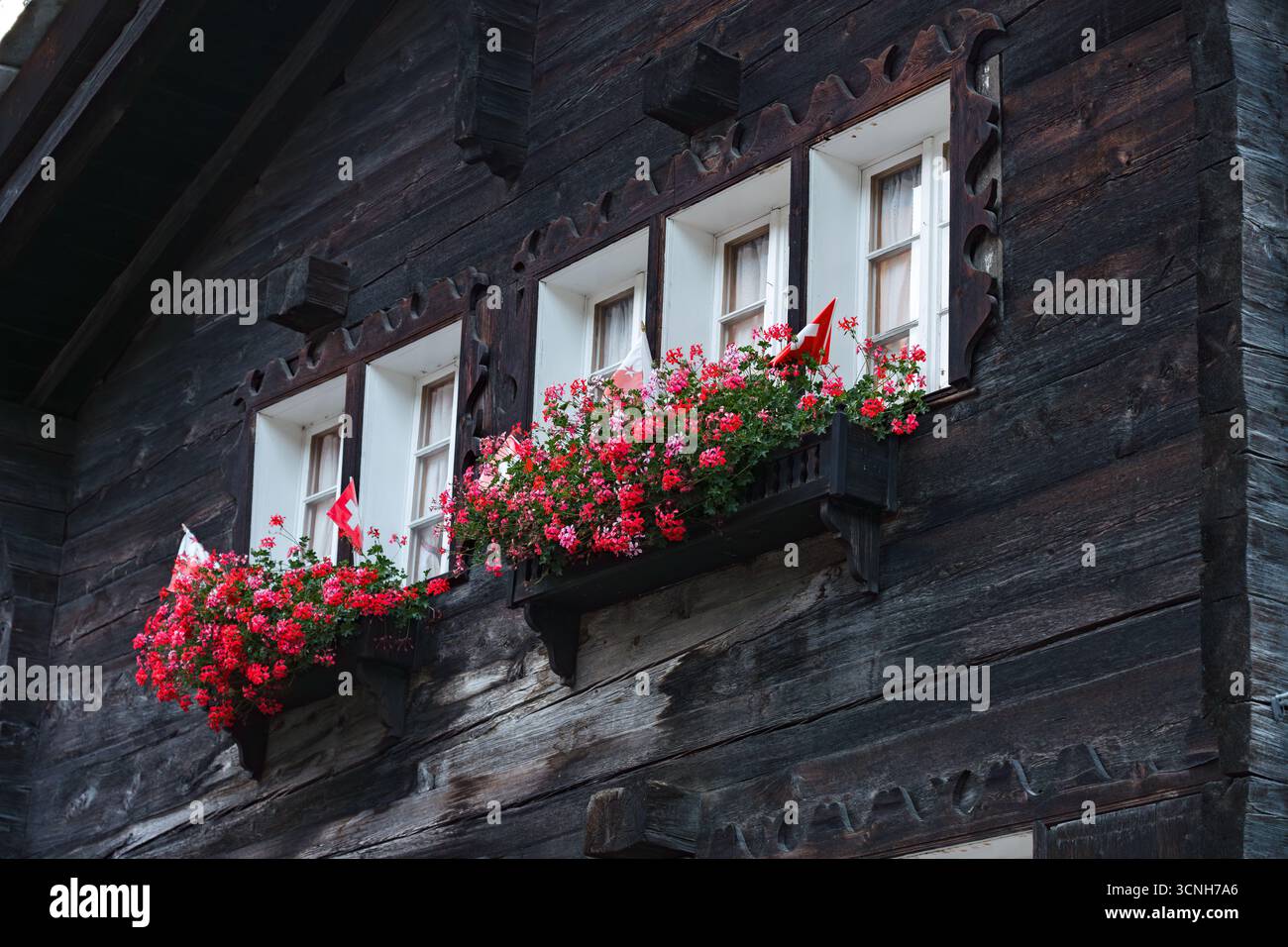 Vibrant Red Flowers on balcony windows in European alpine style, Zermatt, Switzerland Stock Photo