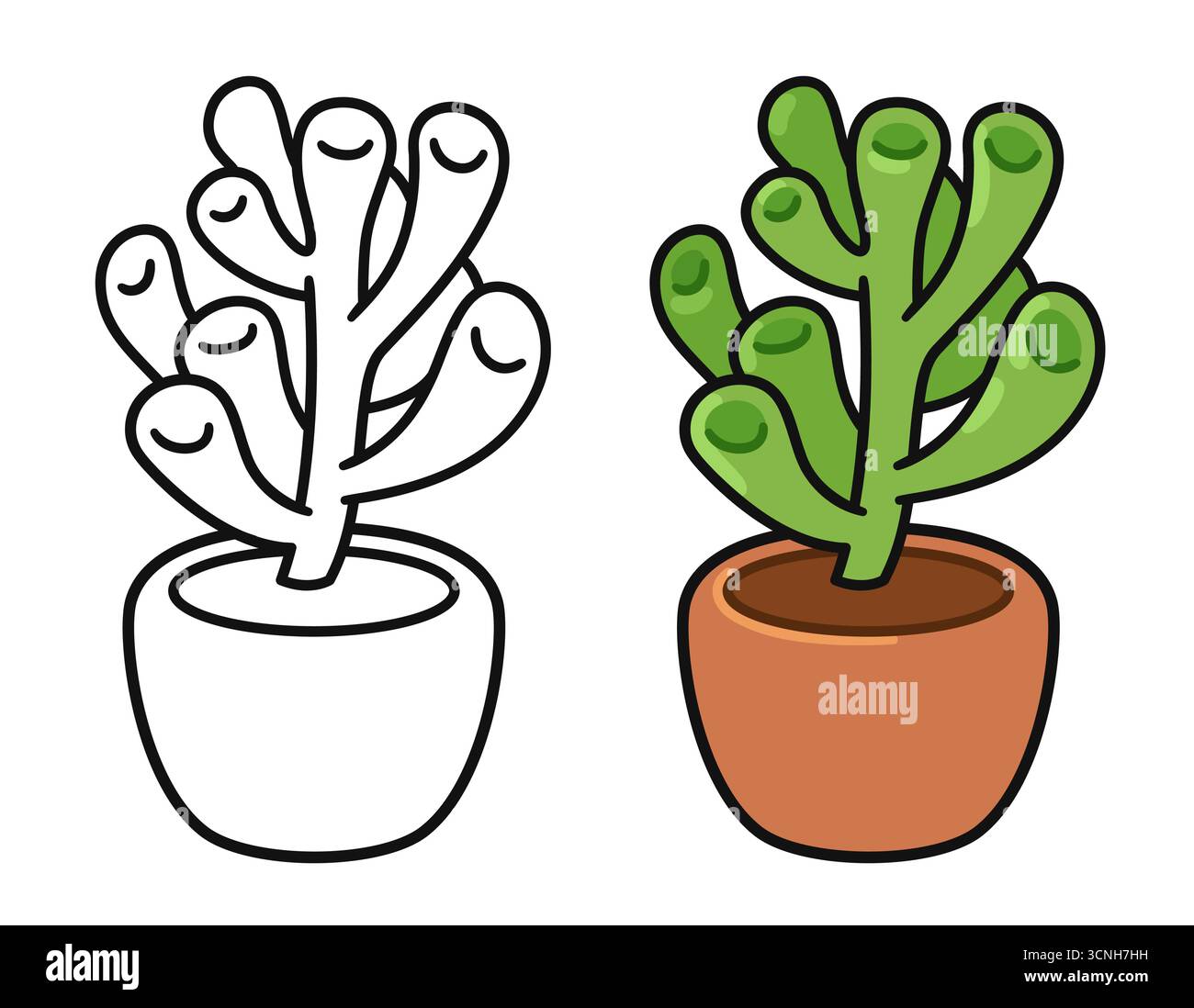 Gollum Jade Plant, Crassula ovata ('Ogre ears'). Cute cartoon potted succulent. Color illustration and black and white line art for coloring. Hand dra Stock Vector
