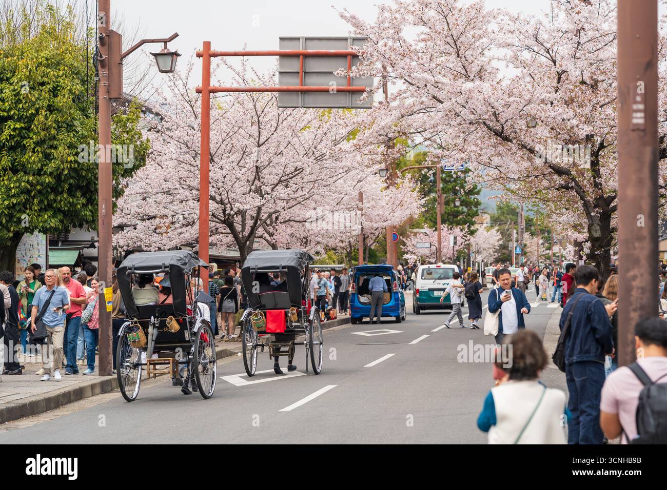 Kyoto, Japan - April 10, 2025 : Tourist enjoying a rickshaw ride on the ...