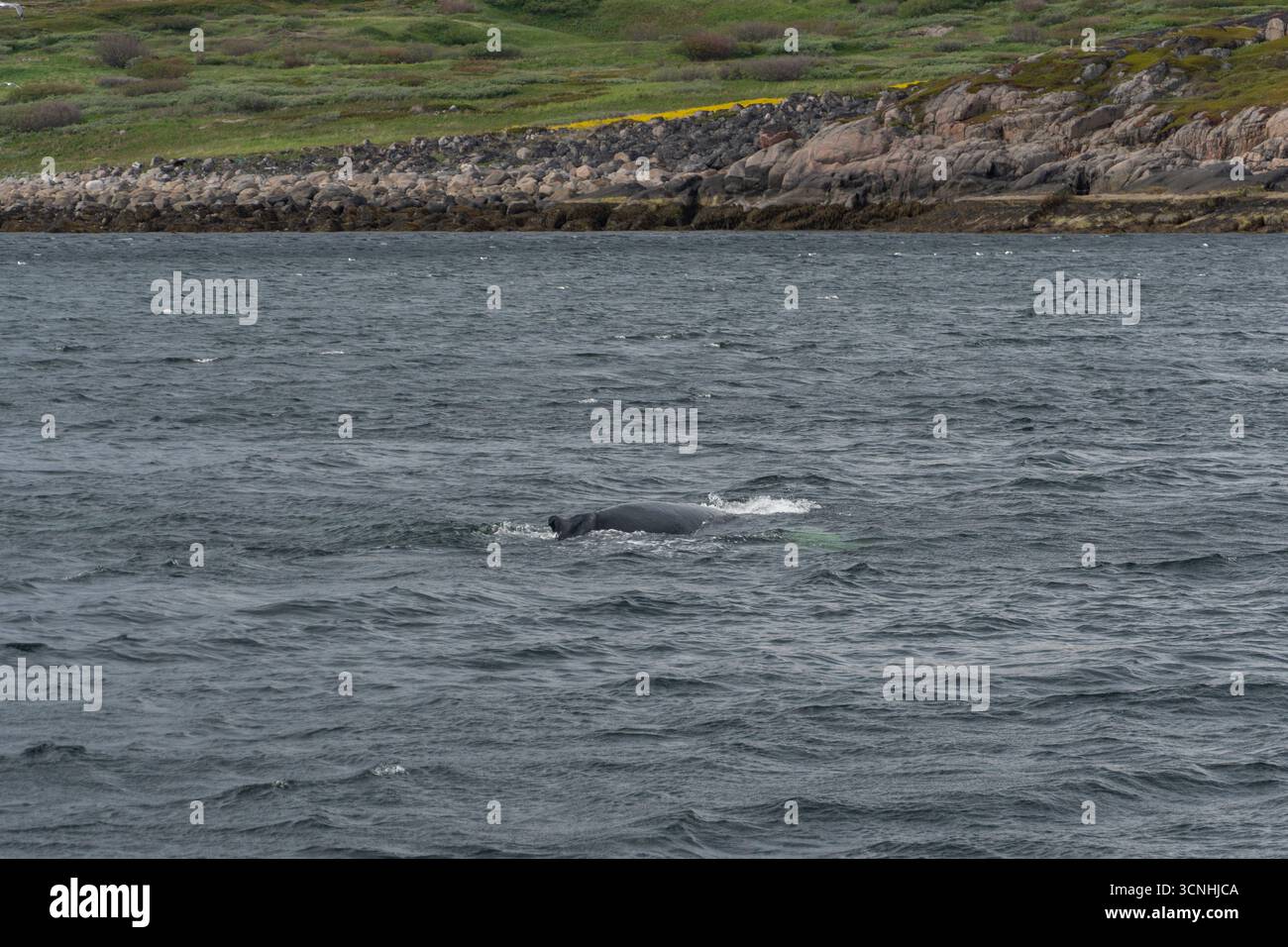 Rippling waters hi-res stock photography and images - Alamy
