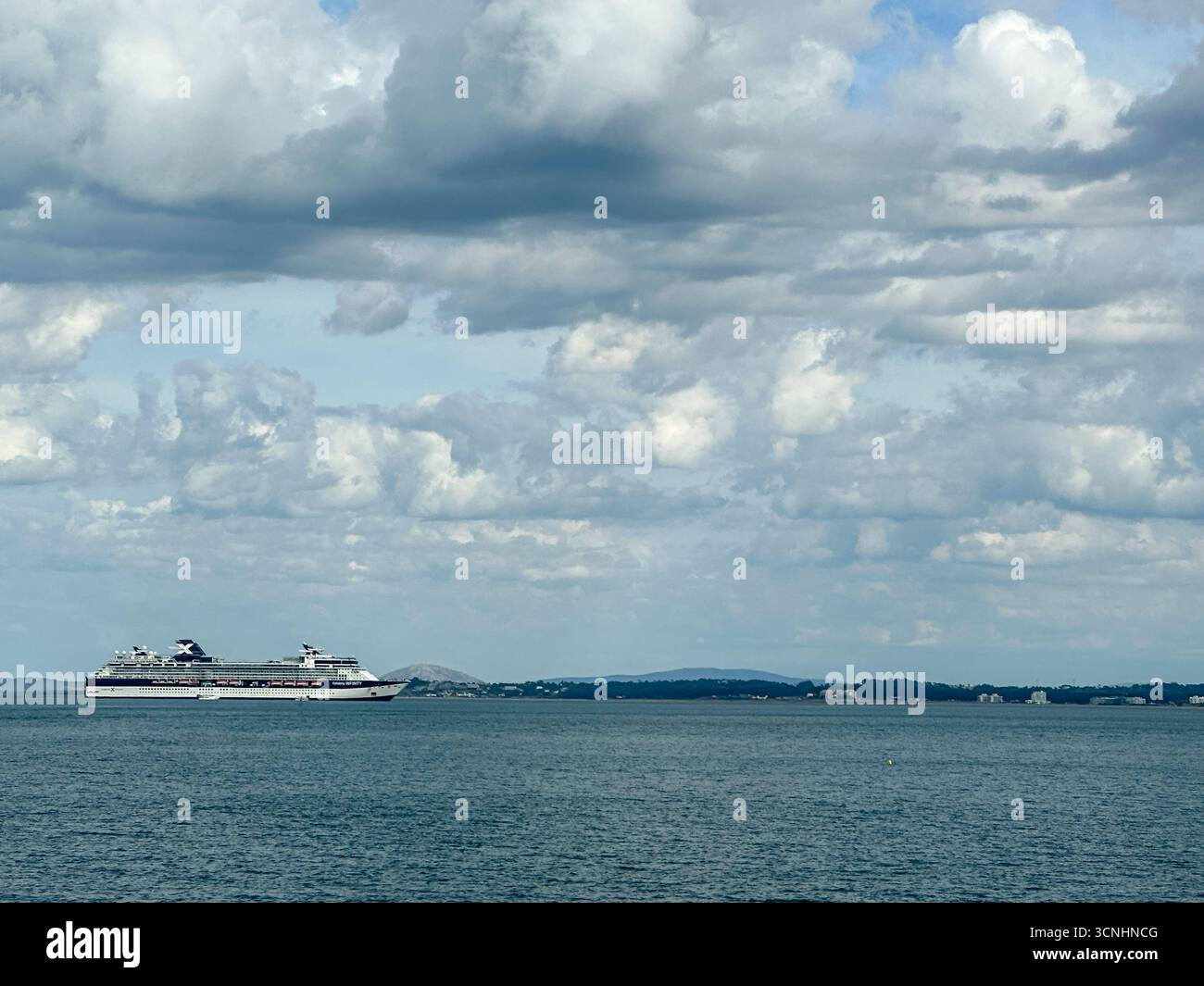 Gallery image with a fresh perspective