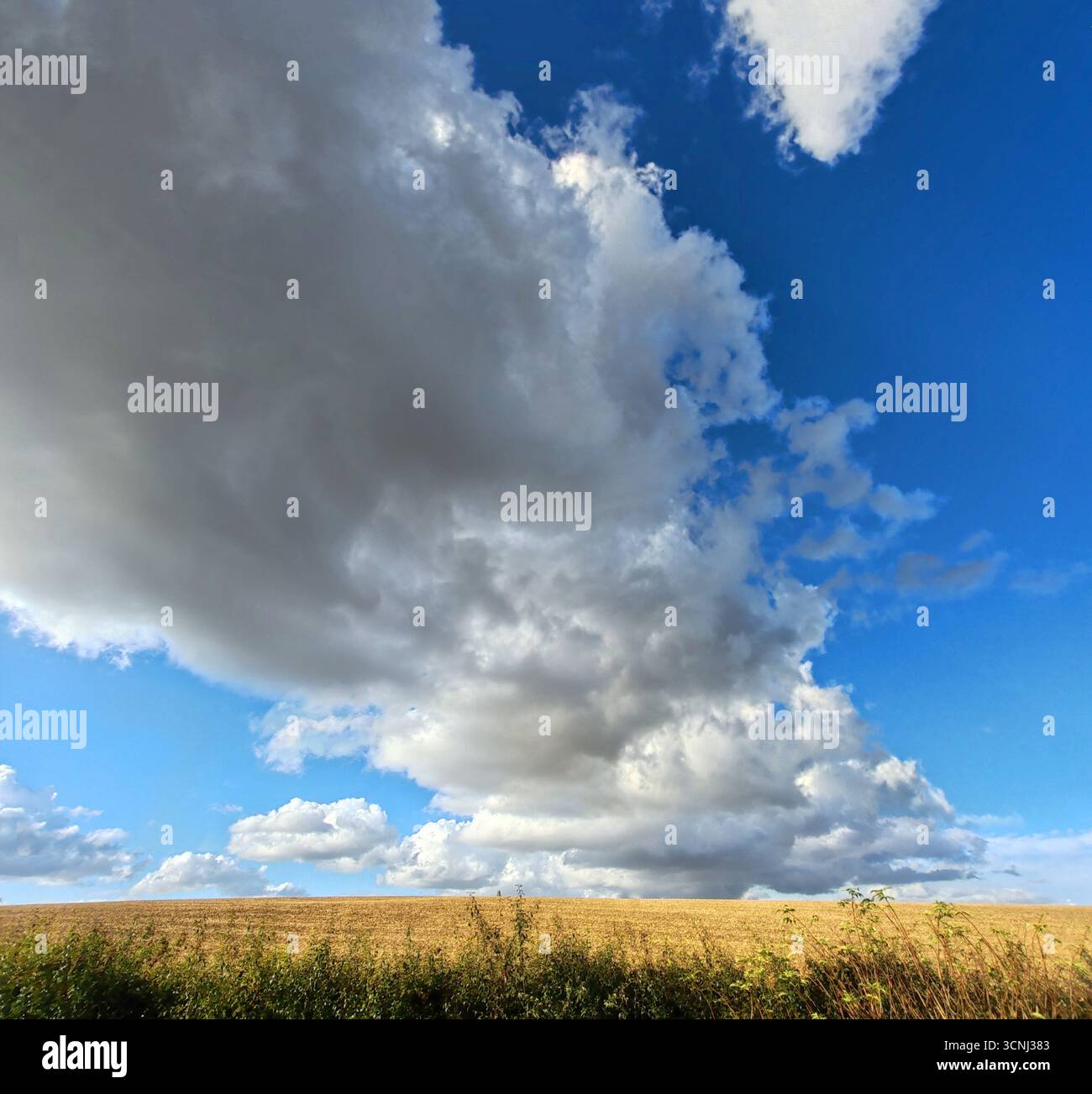 Blue sky, dramatic Cumulonimbus clouds, arable landscape Stock Photo
