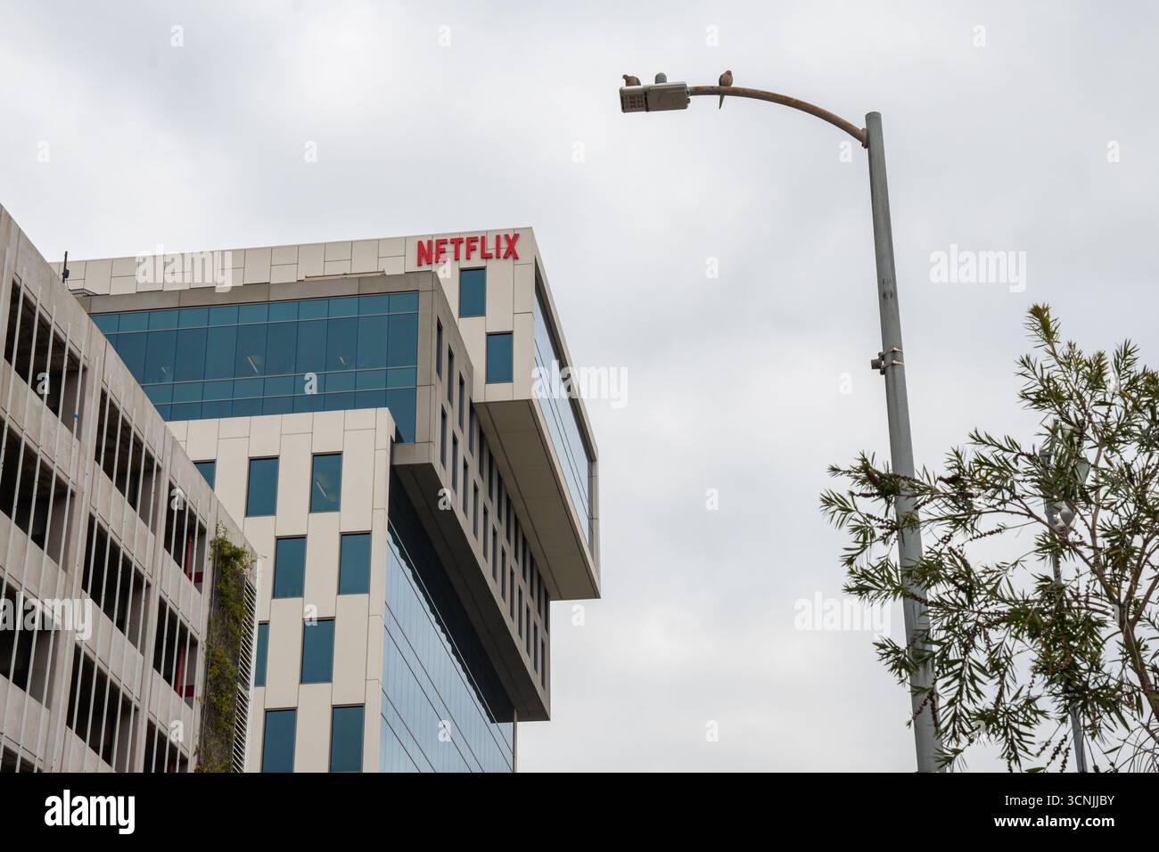 Netflix's Hollywood headquarters is in the 14-story ICON building on ...
