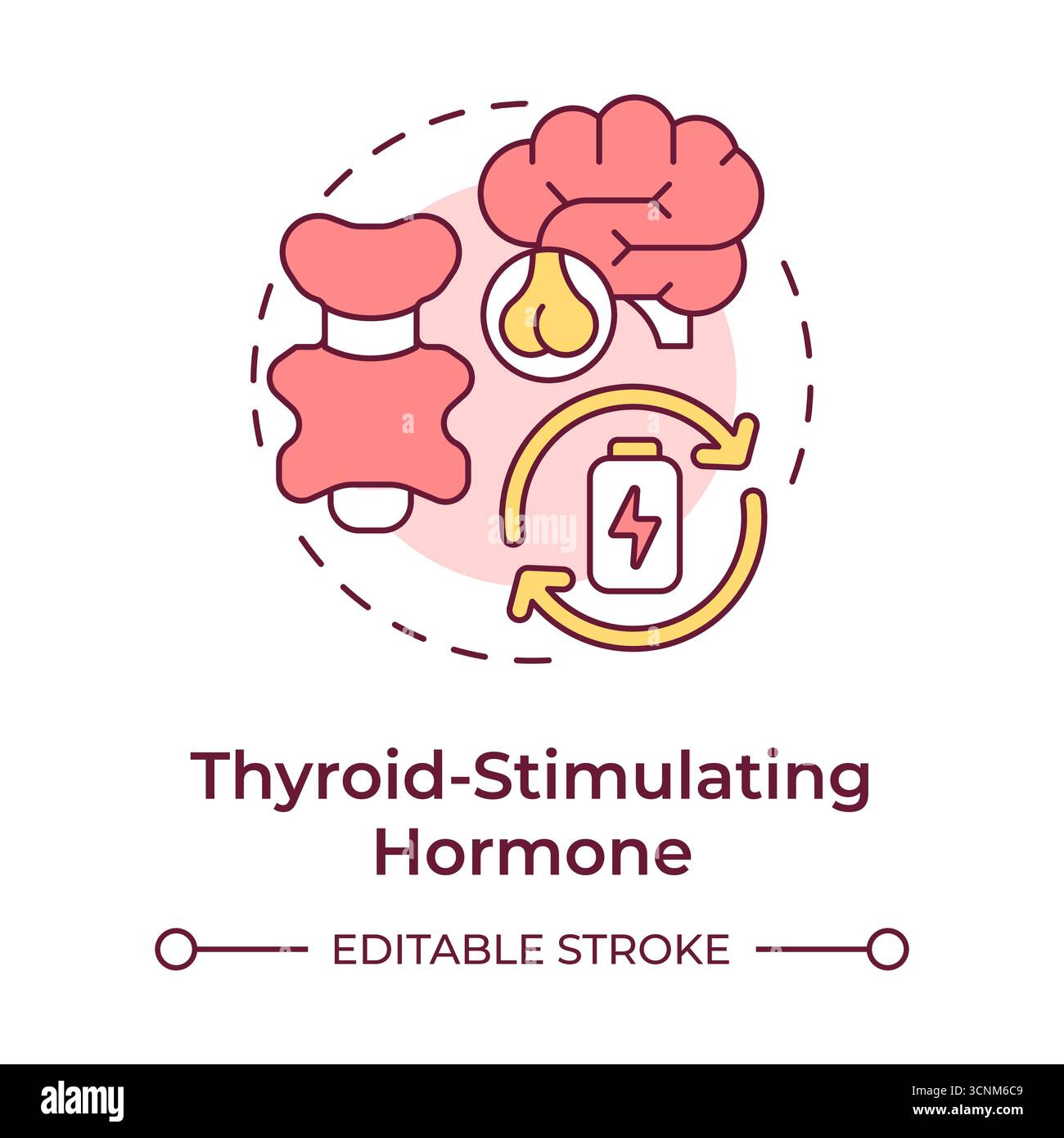 Thyroid stimulating hormone multi color concept icon Stock Vector