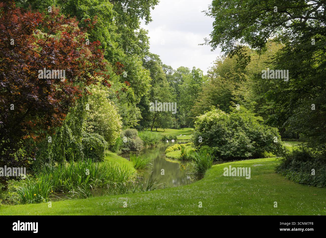 Lush green atmosphere hi-res stock photography and images - Alamy