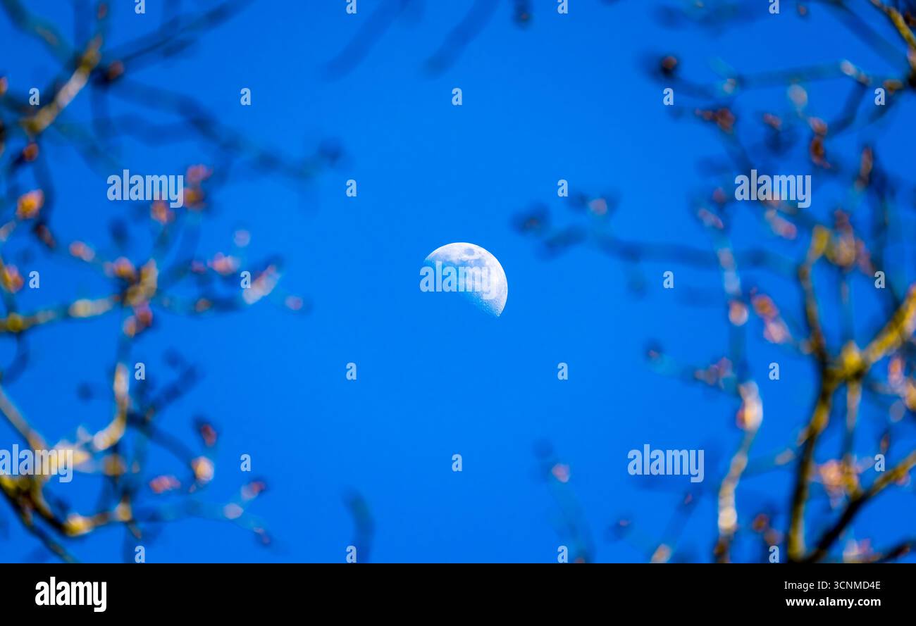 Moon During Spring Moon phase cycle hi-res stock photography and images - Alamy