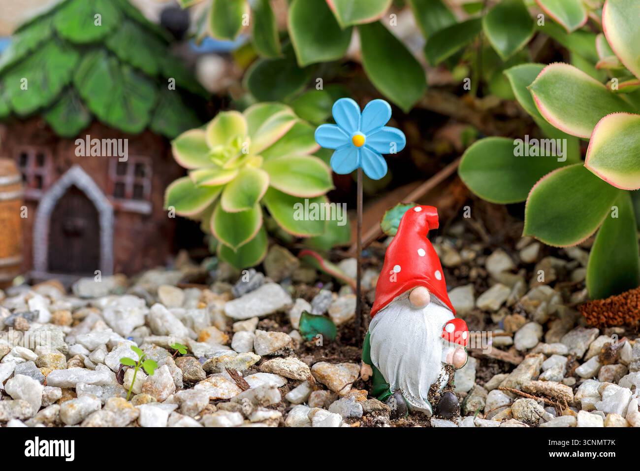 A tiny garden gnome next to  his house with a blue flower Stock Photo