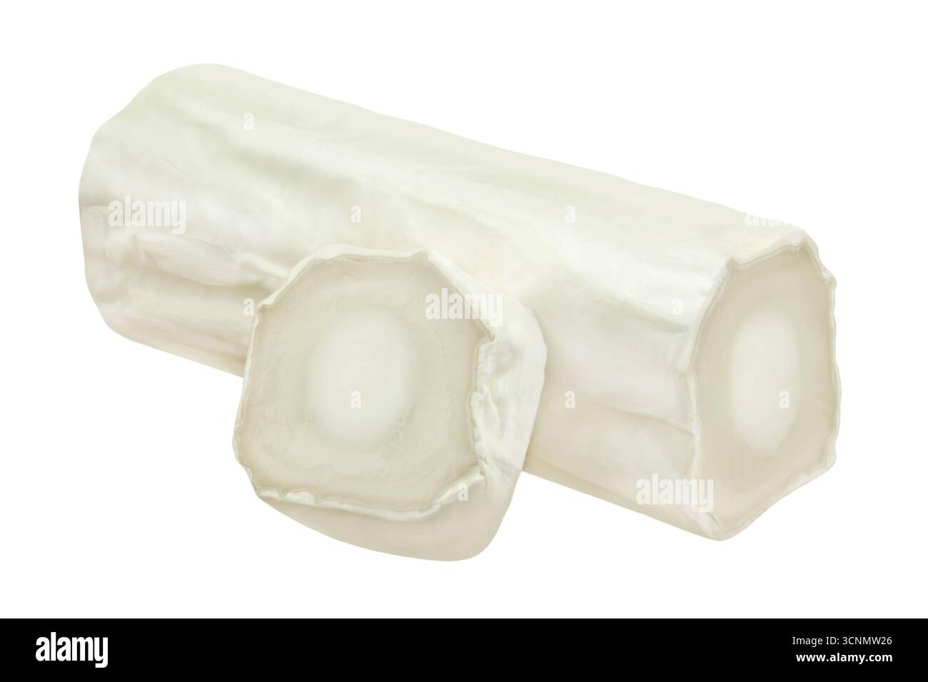 Goat cheese isolated on white background Stock Photo