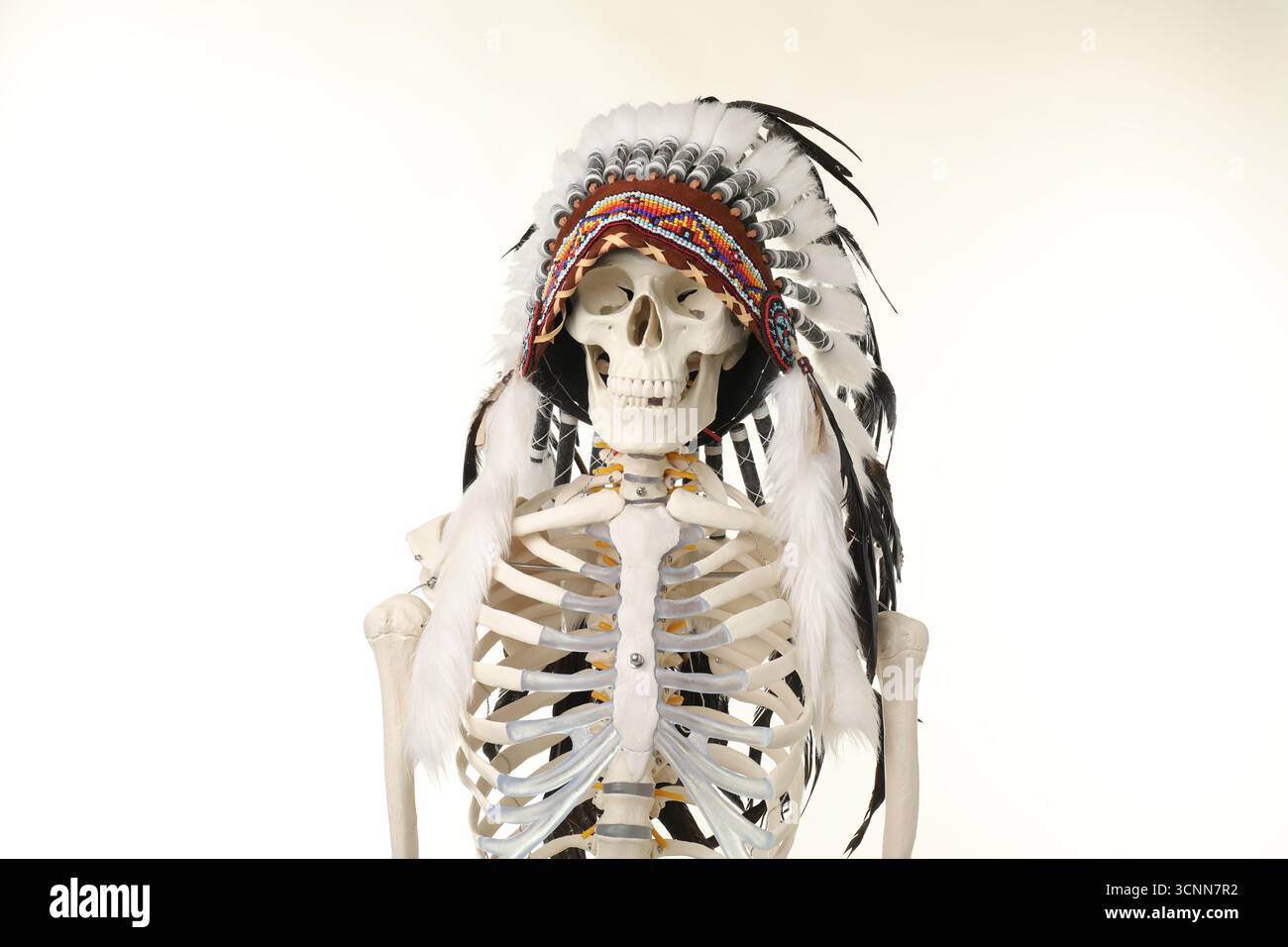 Artificial human skeleton wearing warbonnet (Native American chief ...