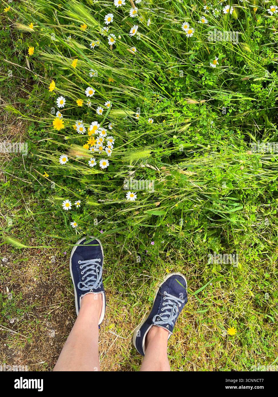 Feet wearing sneakers on the grass. - Smartphone Captured Stock Image