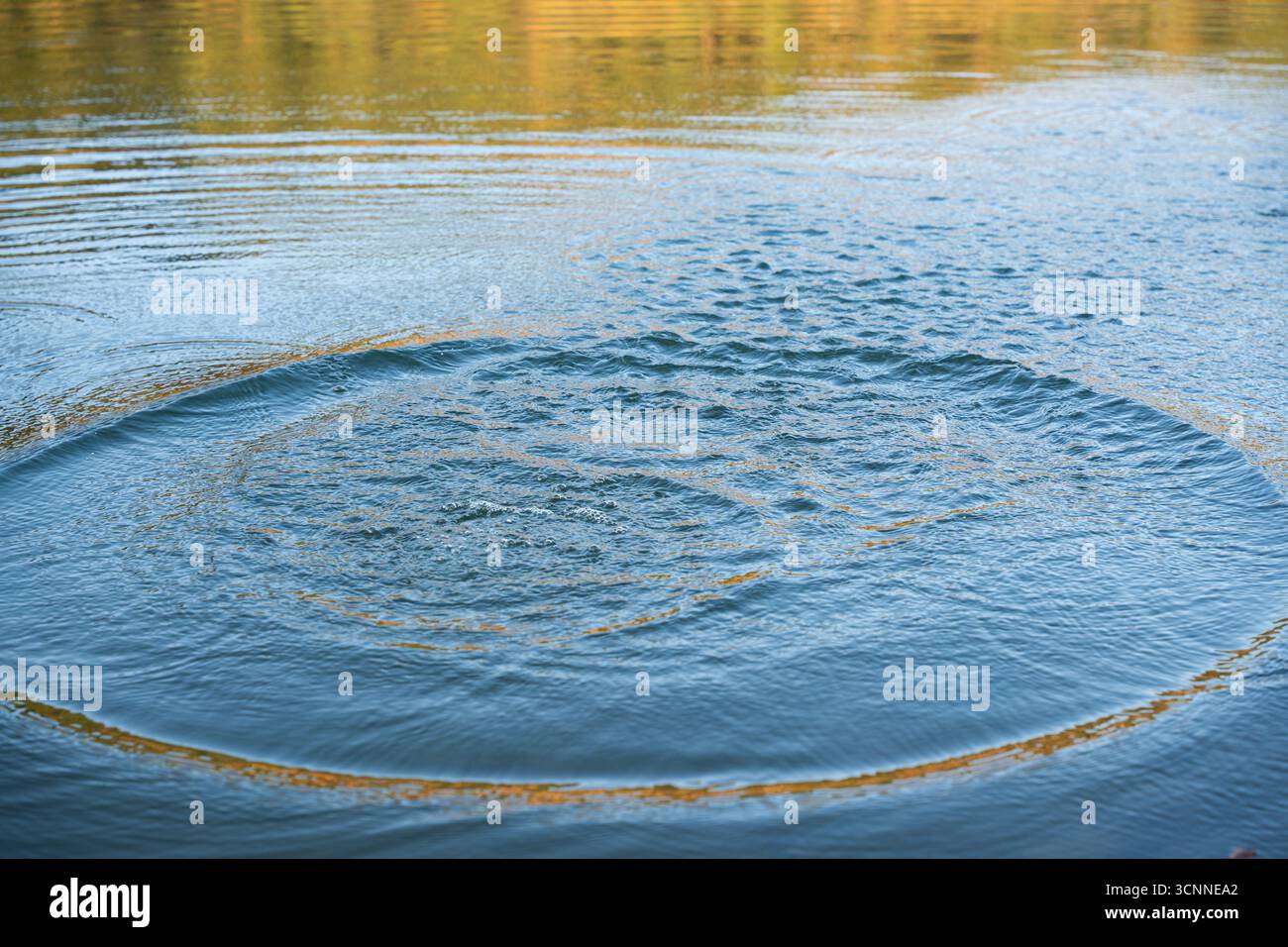 Circular water ripples and bubbles effect. Water ripples and round ...