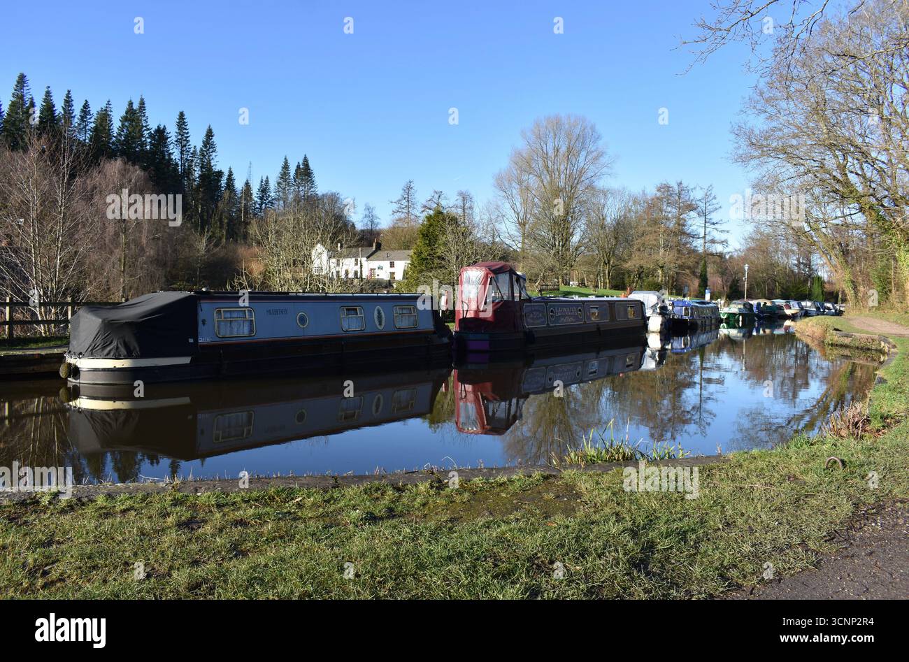 Canal boats moored in Goytre Wharf, Abergavenny, Wales Stock Photo