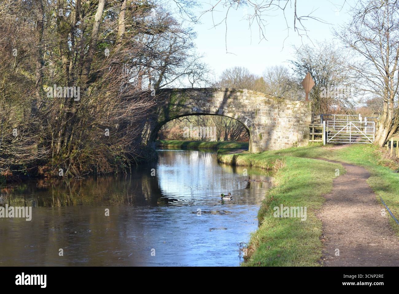Arched stone bridge over the canal, Goytre Wharf, Abergavenny, Wales Stock Photo