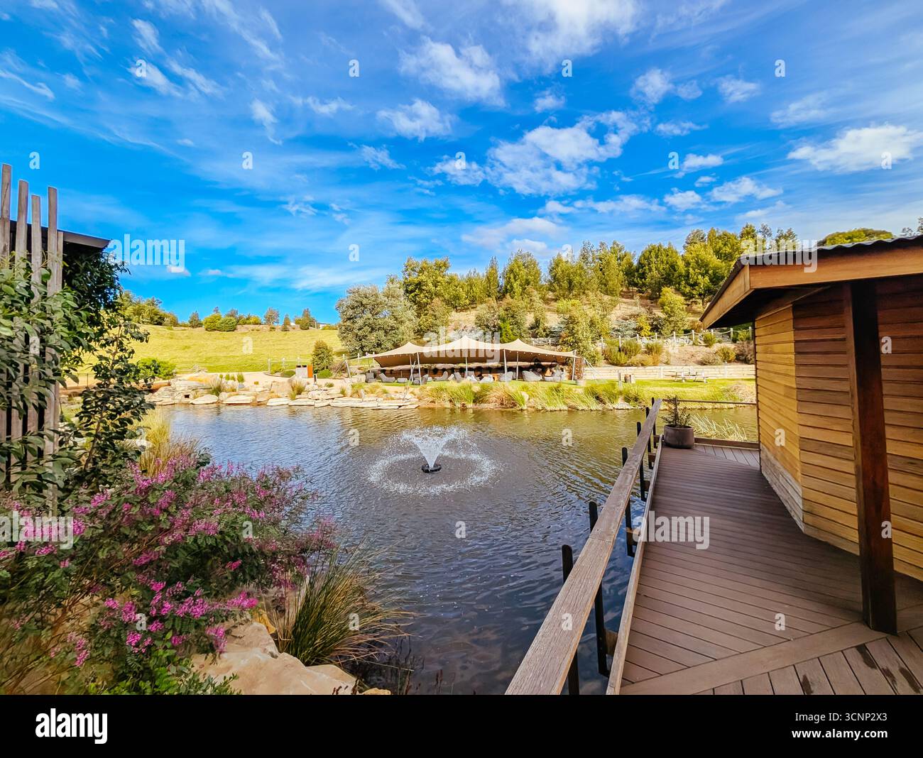 Spring Victoria Australai Metung Hot Springs Victoria Australia Stock Photo - Alamy