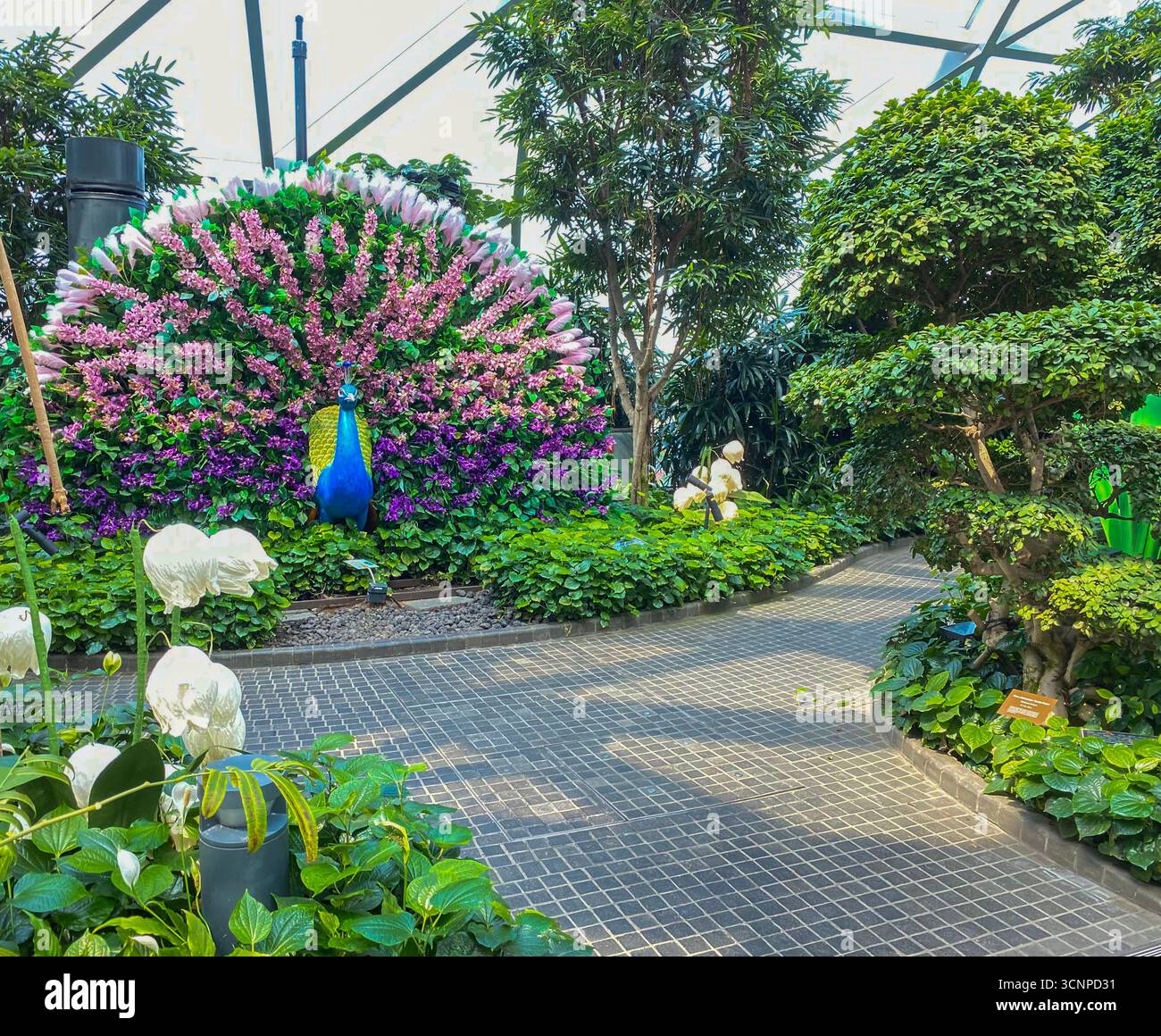 Plastic flowers worlds tallest indoor waterfall smartphone stock photos ...