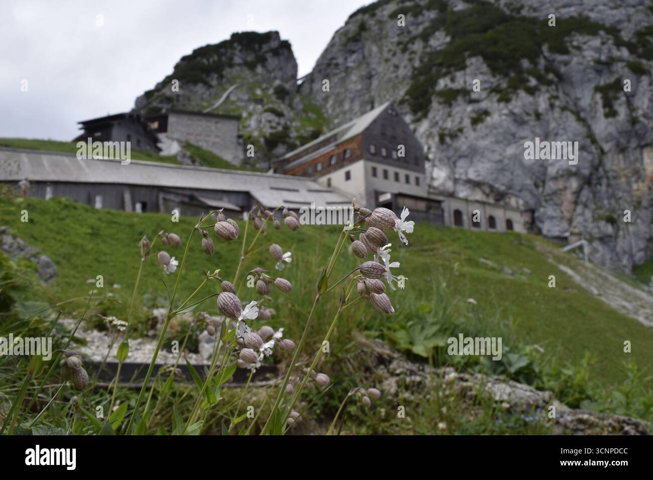 Wendelstein-Wohnhaus, Wendelstein - Nachbarfelsen, Bayern, Bavaria, Deutschland, Süddeutschland, Deutschland, Germany, Alpen, Alpes, Rock, Felsen, Mus Stock Photo