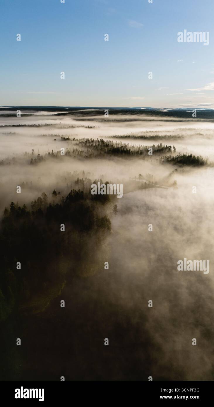Mist rolls over lush hi-res stock photography and images - Alamy