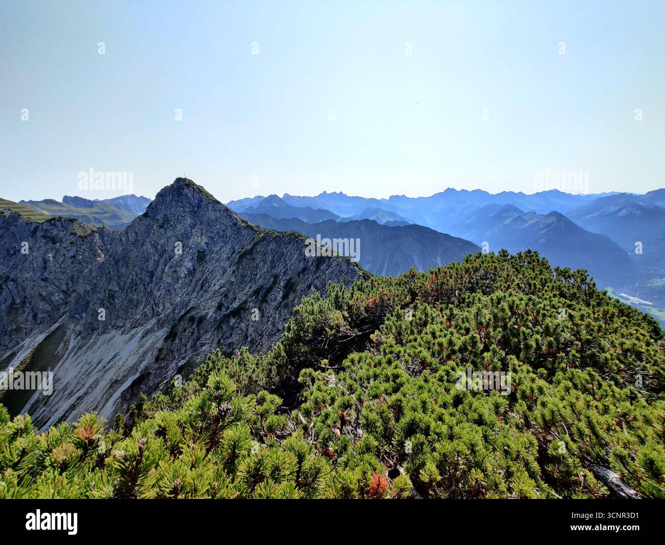 Vegetation Ridge Mountain ridge with alpine vegetation and layers of peaks in the Alps ...