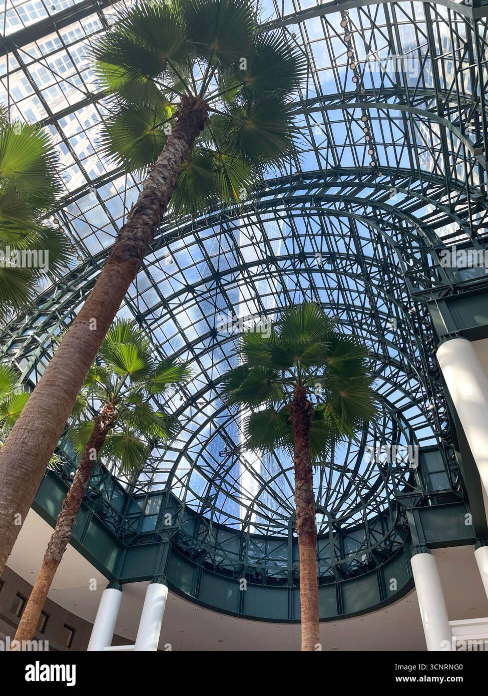 The Winter Garden Atrium, Brookfield Place in Battery Park City, New York City, 2025, USA - Smartphone Captured Stock Image