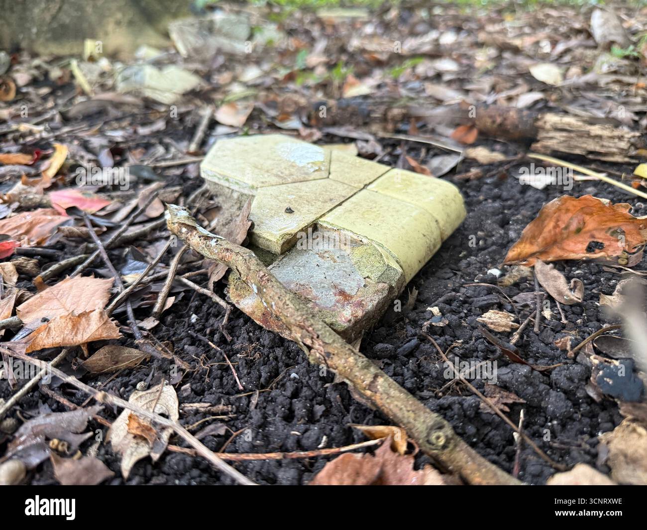 Broken tile on forest floor - Smartphone Captured Stock Image