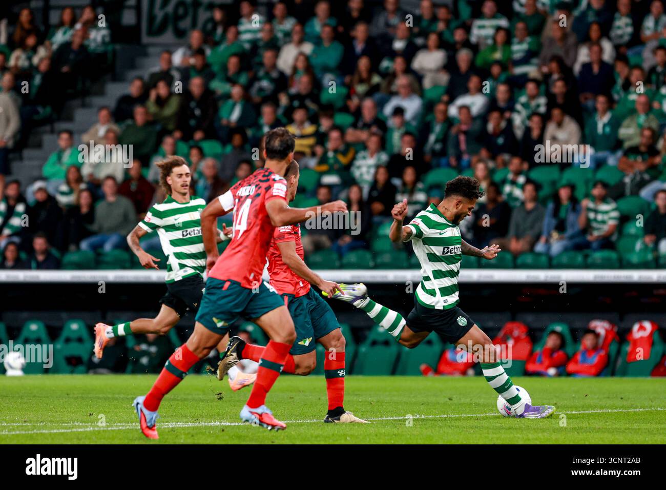 Key Forward Targeted Primeira Liga Next Steps: The Transfer Window and Beyond