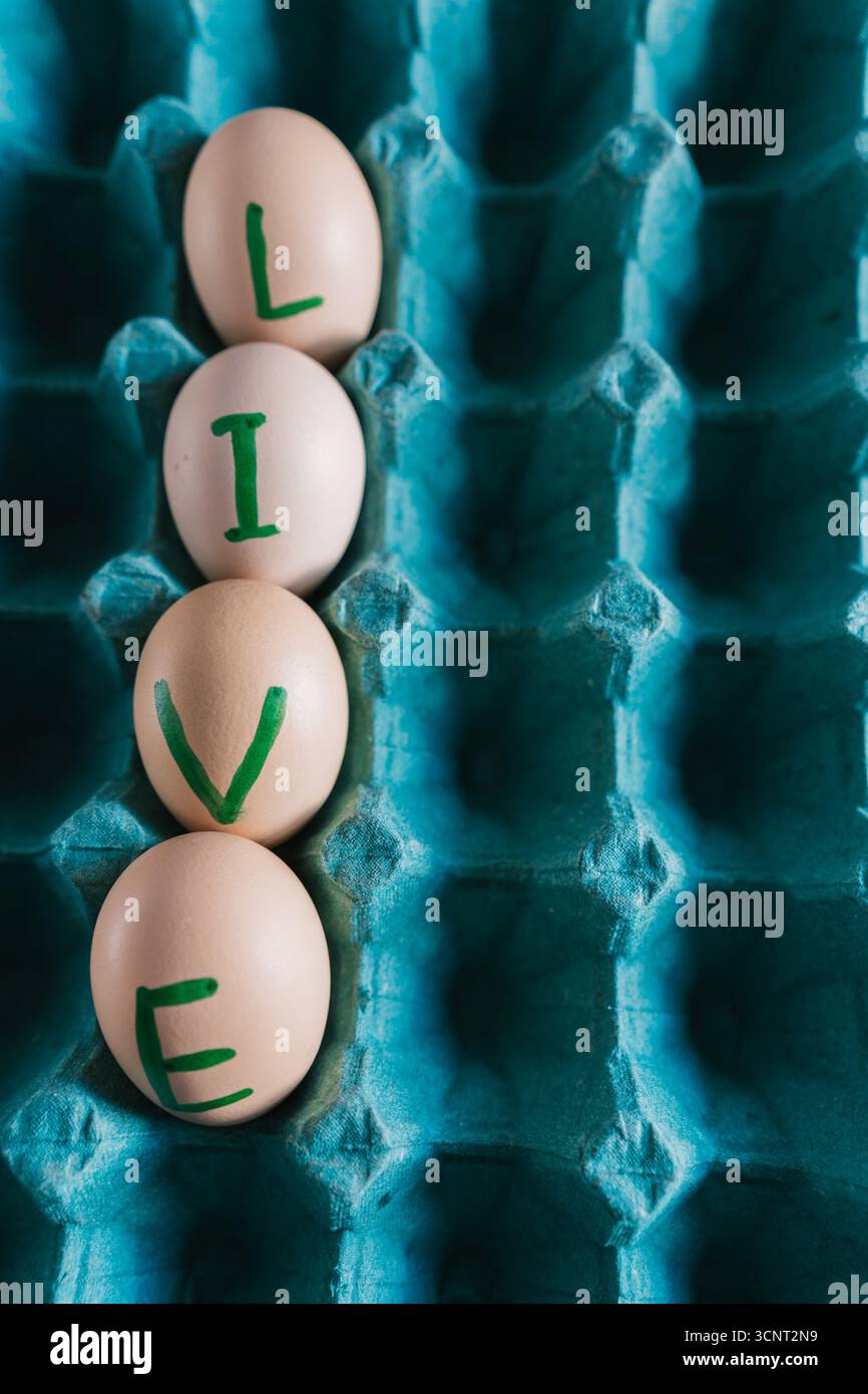 live written in Fresh, organic eggs, both white and brown, are packaged in a cardboard container. Stock Photo