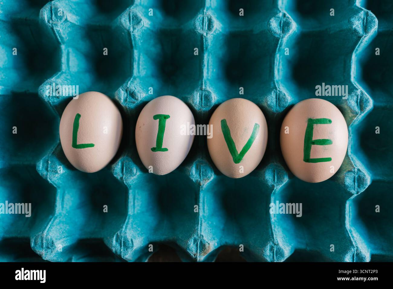 live written in Fresh, organic eggs, both white and brown, are packaged in a cardboard container. Stock Photo