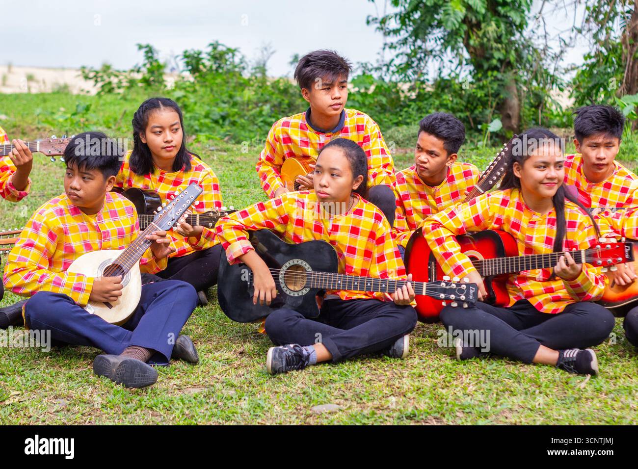 Plucked instruments hi-res stock photography and images - Alamy