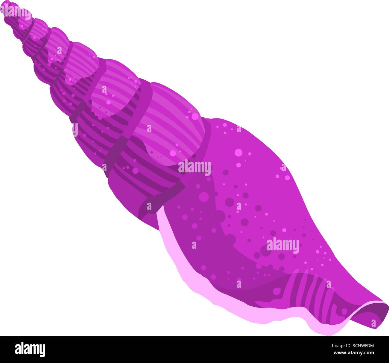 Sea shell conch marine vector illustration Stock Vector Image & Art - Alamy