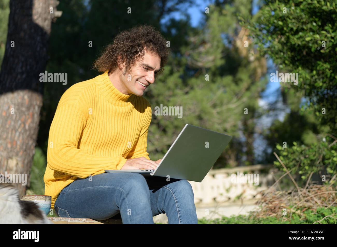 A man in a yellow sweater sits outdoors in a sunny garden, using a laptop. He is focused and smiling, enjoying the warm weather and the fresh air. Stock Photo