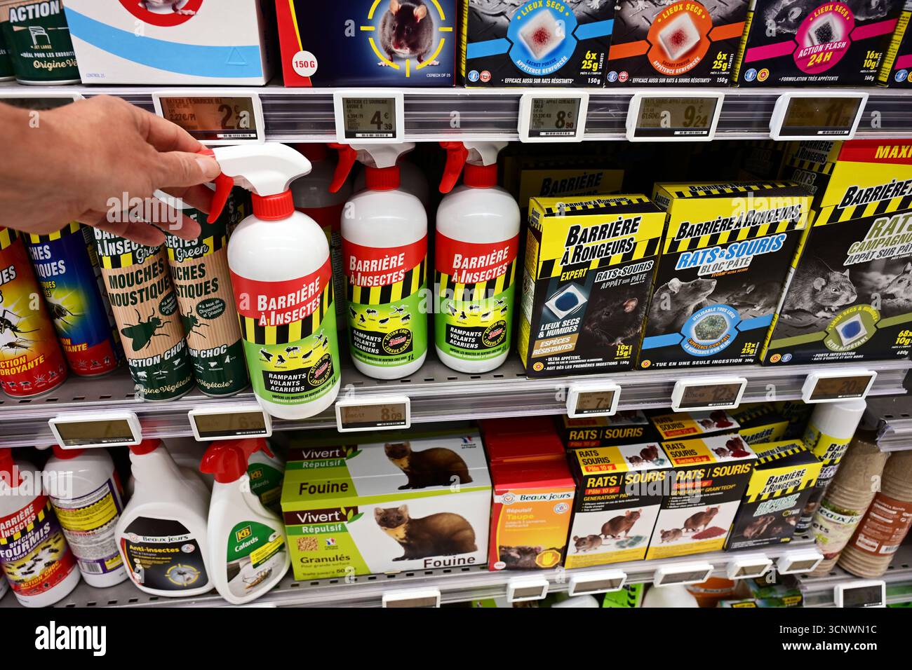 Pest control in a store Stock Photo