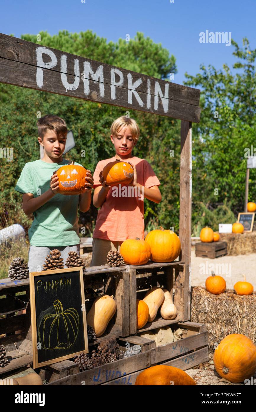 Two boys enjoying autumn activity, holding carved pumpkins at a rustic outdoor market stall Stock Photo