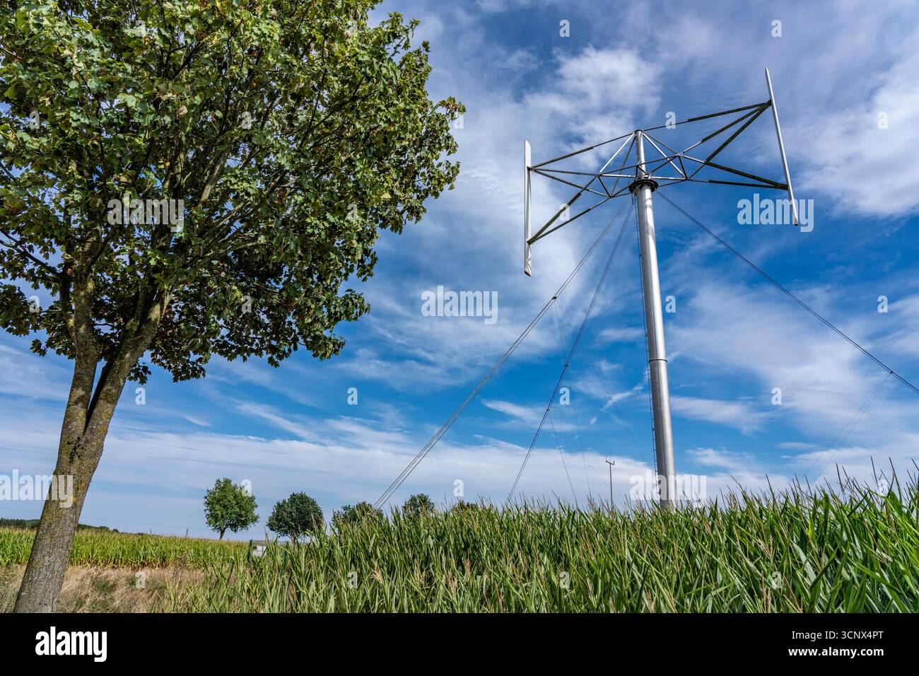 Vertical axis wind turbine, Darrieu wind turbine, two vertically ...