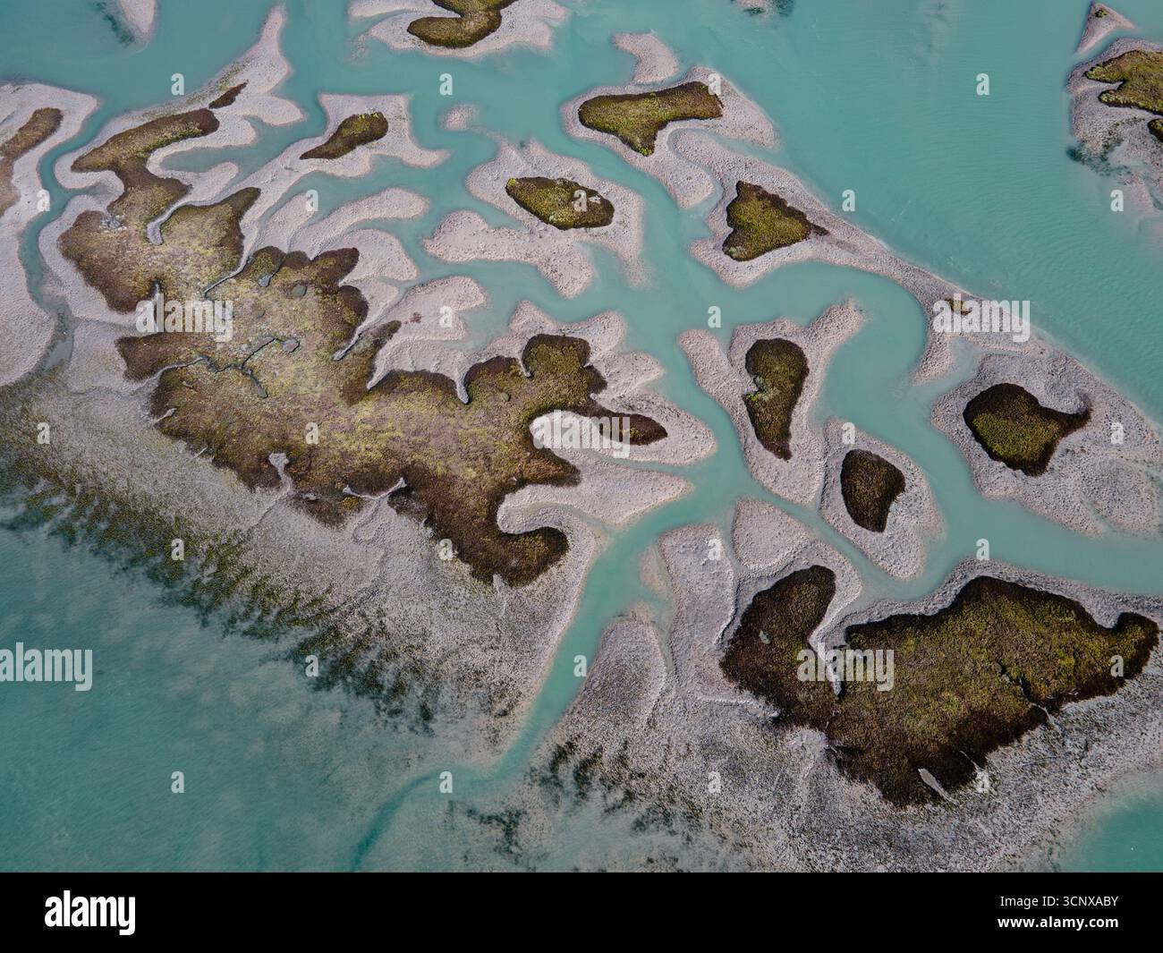 Aerial view of sinuous tidal channels carve through the vibrant green ...