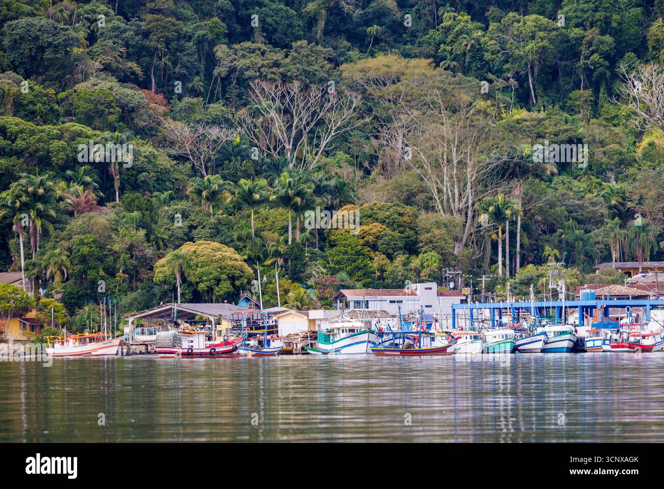Fishing harbour, Cananeia, Sao Paulo, Brazil Stock Photo